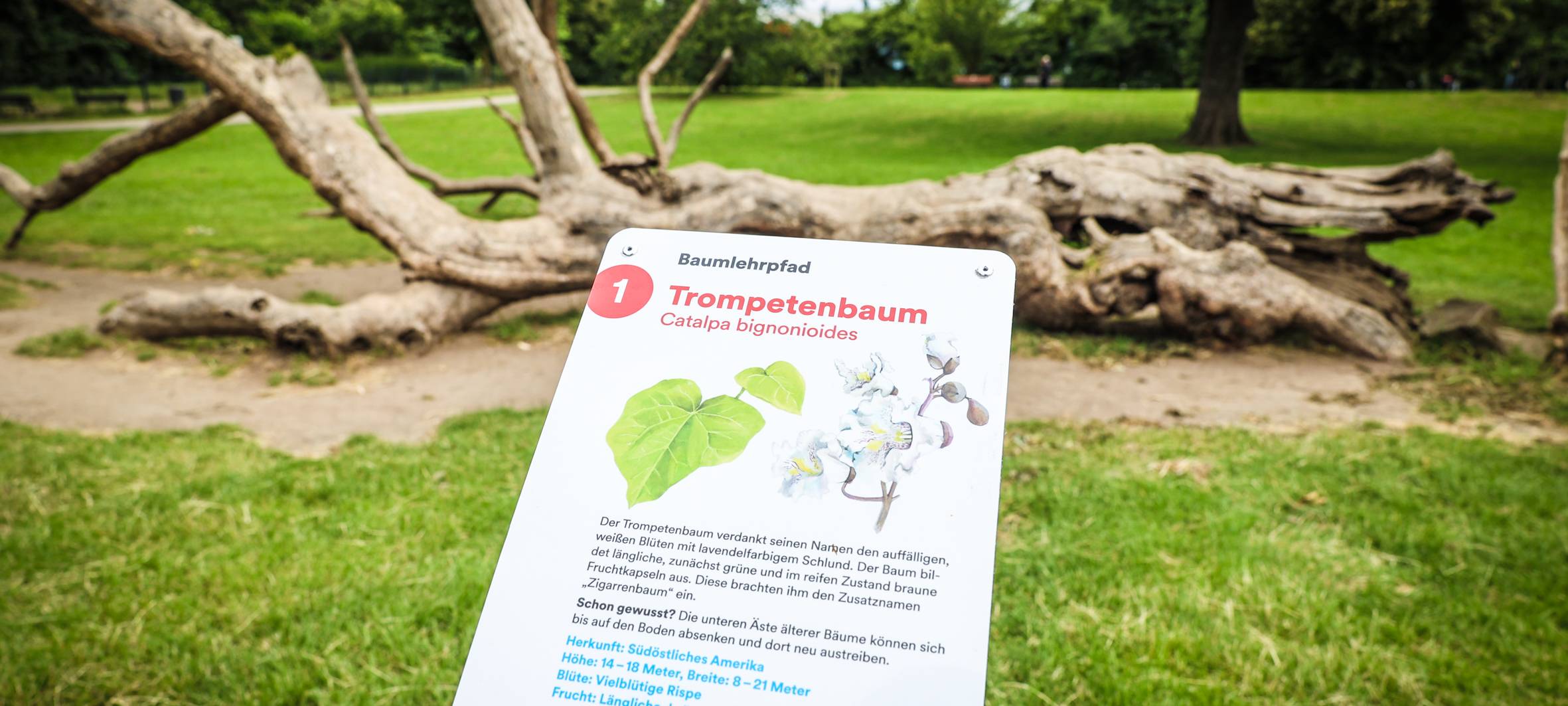 Neuer Lehrpfad im Düsseldorfer Zoopark