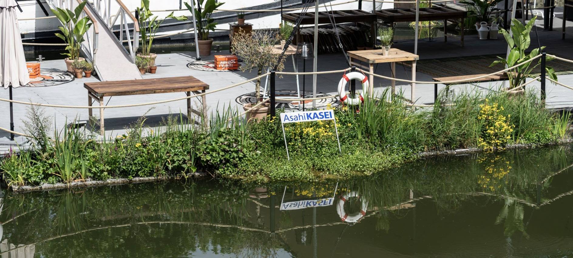 Düsseldorf: Kampf gegen Blaualgen