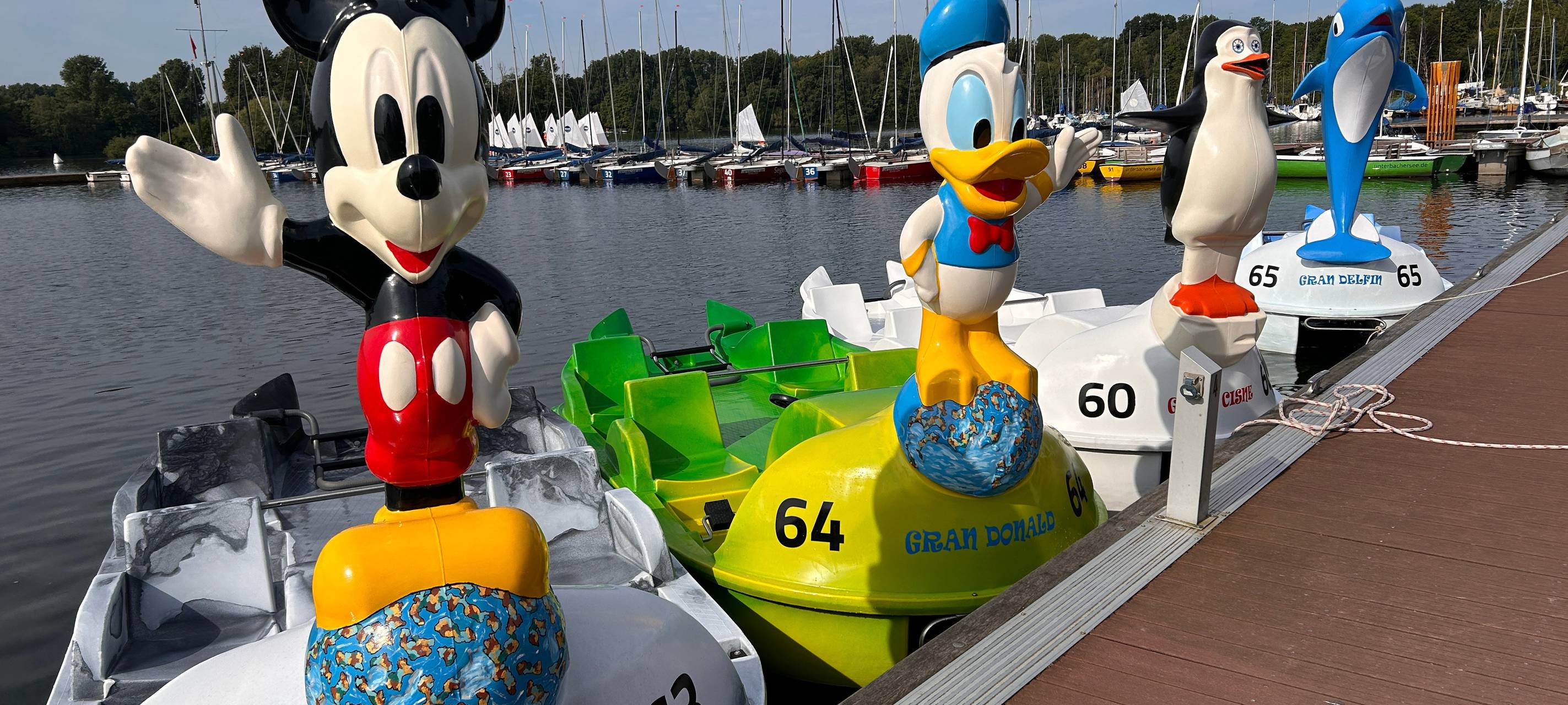 Düsseldorf: Neue Tretboote auf dem Unterbacher See unterwegs