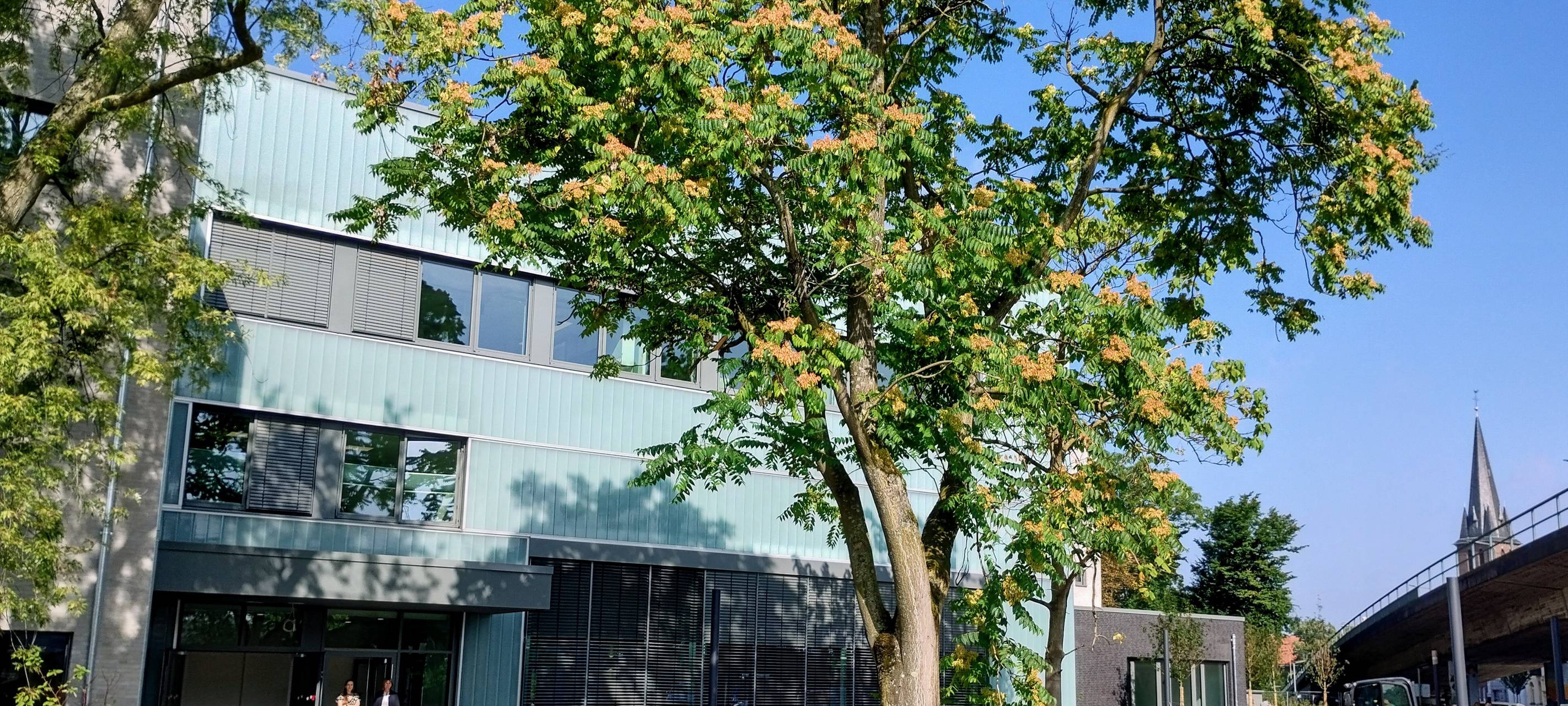 Drei neue Düsseldorfer Schulen zum Schulstart