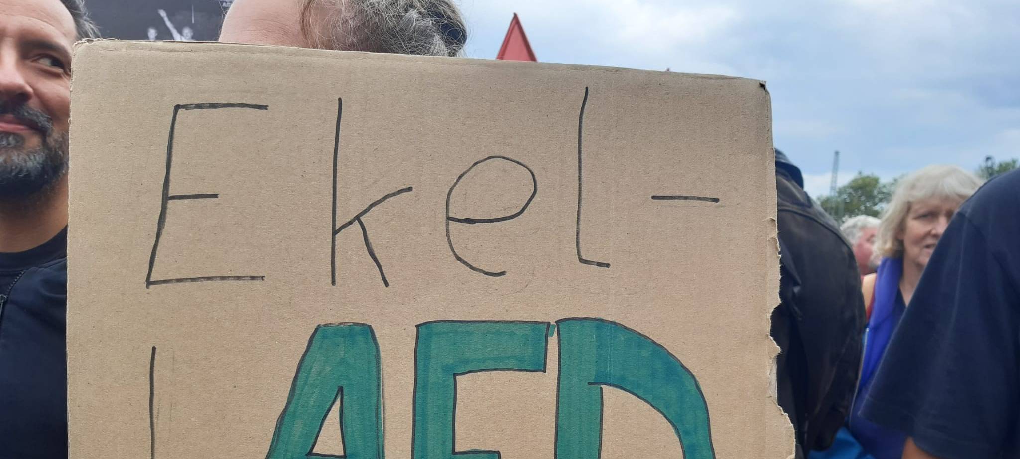 Protest gegen AFD-Politiker Maximilian Krah in Düsseldorf