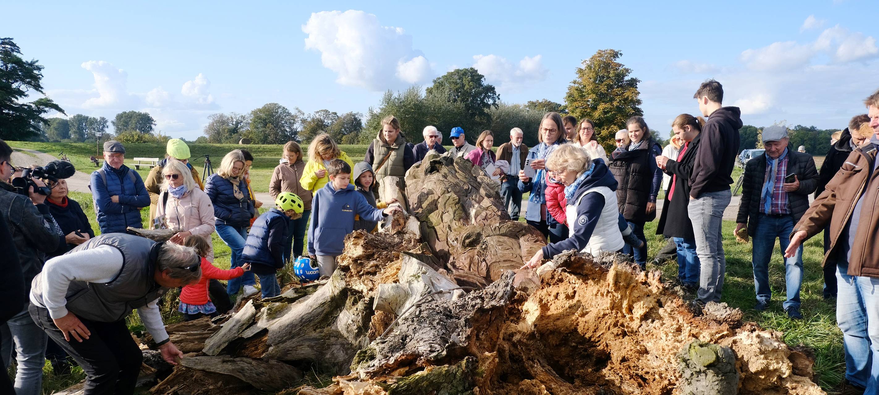 Die marode Kastanie im Himmelgeister Rheinbogen wird abgetragen. Viele Menschen nehmen Abschied von diesem Baum.