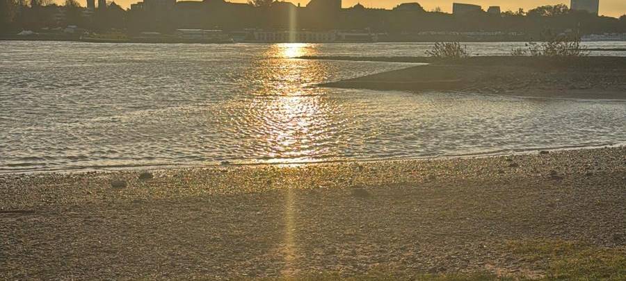 Die Skyline von Düsseldorf in der Abendsonne.