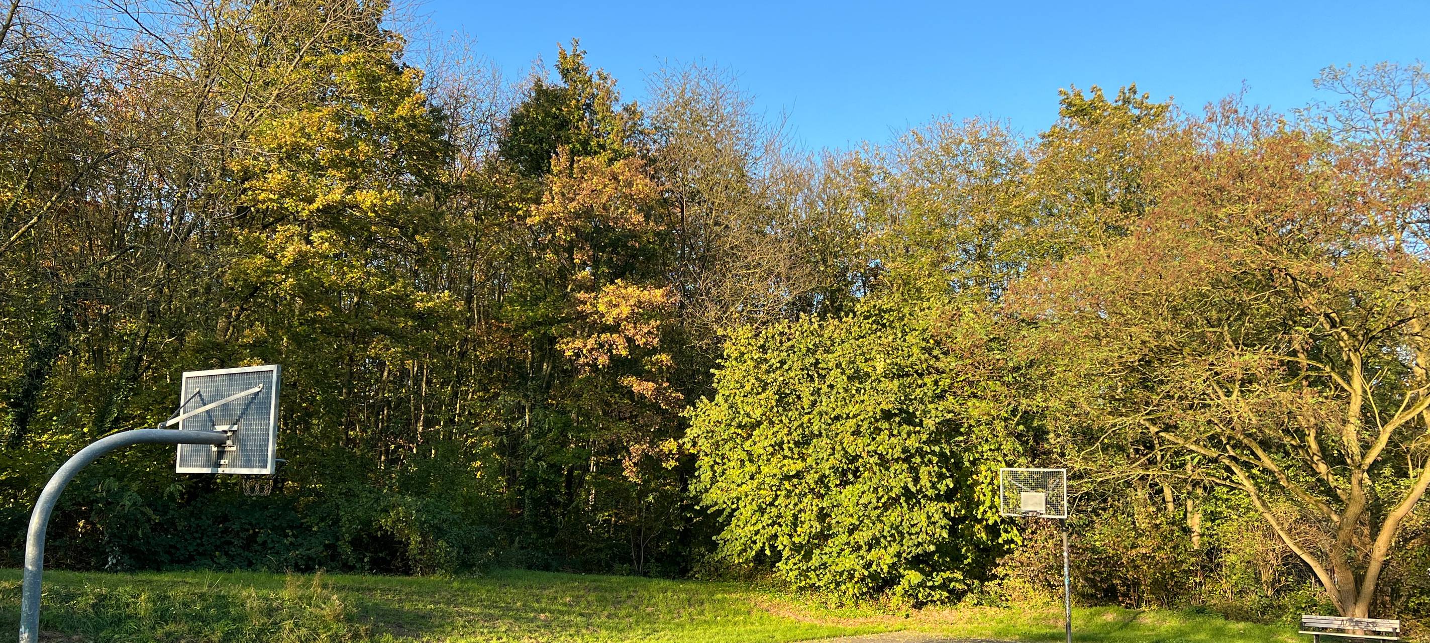 frei zugängliche Möglichkeit zum Basketball spielen in Hellerhof