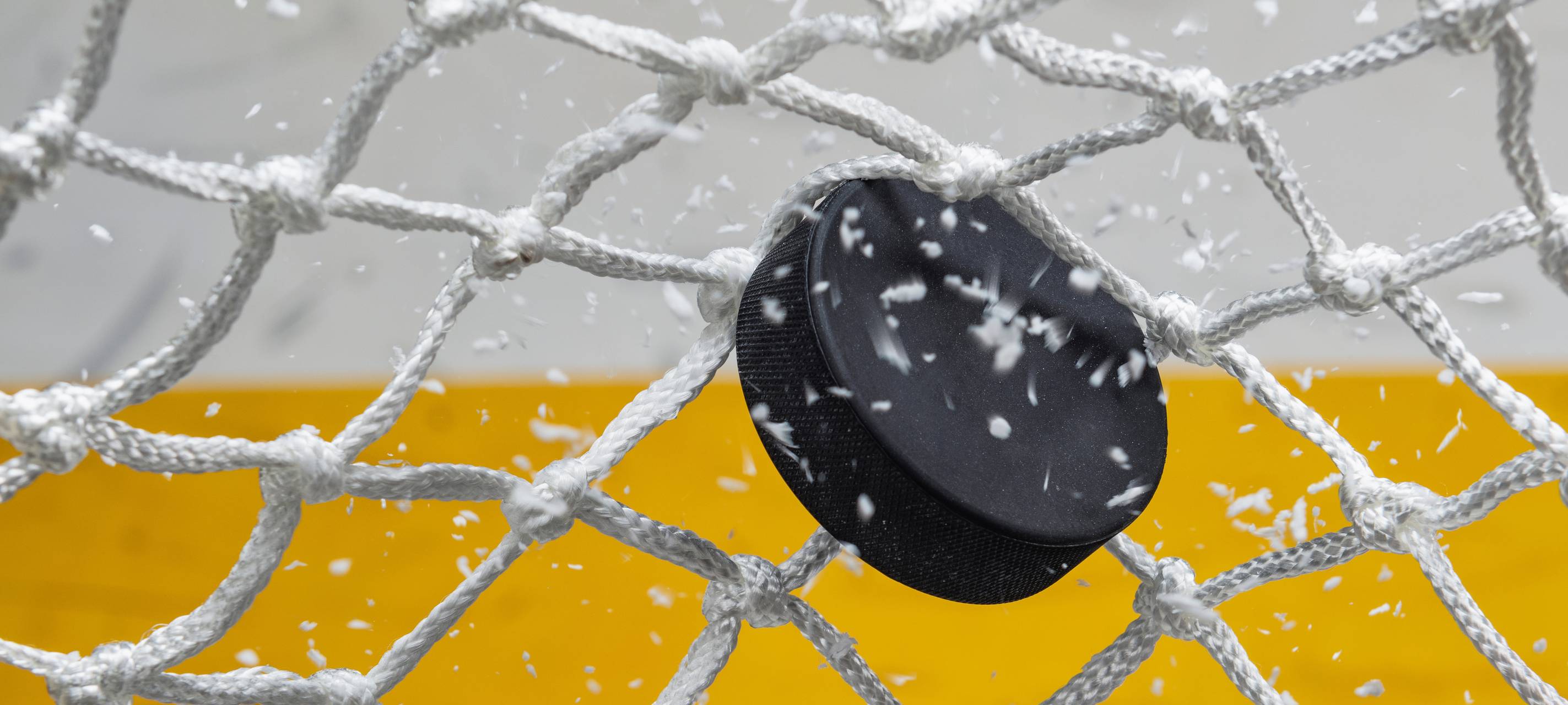 Ein Eishockey-Puck zappelt im Netz eines Eishockey-Tores.