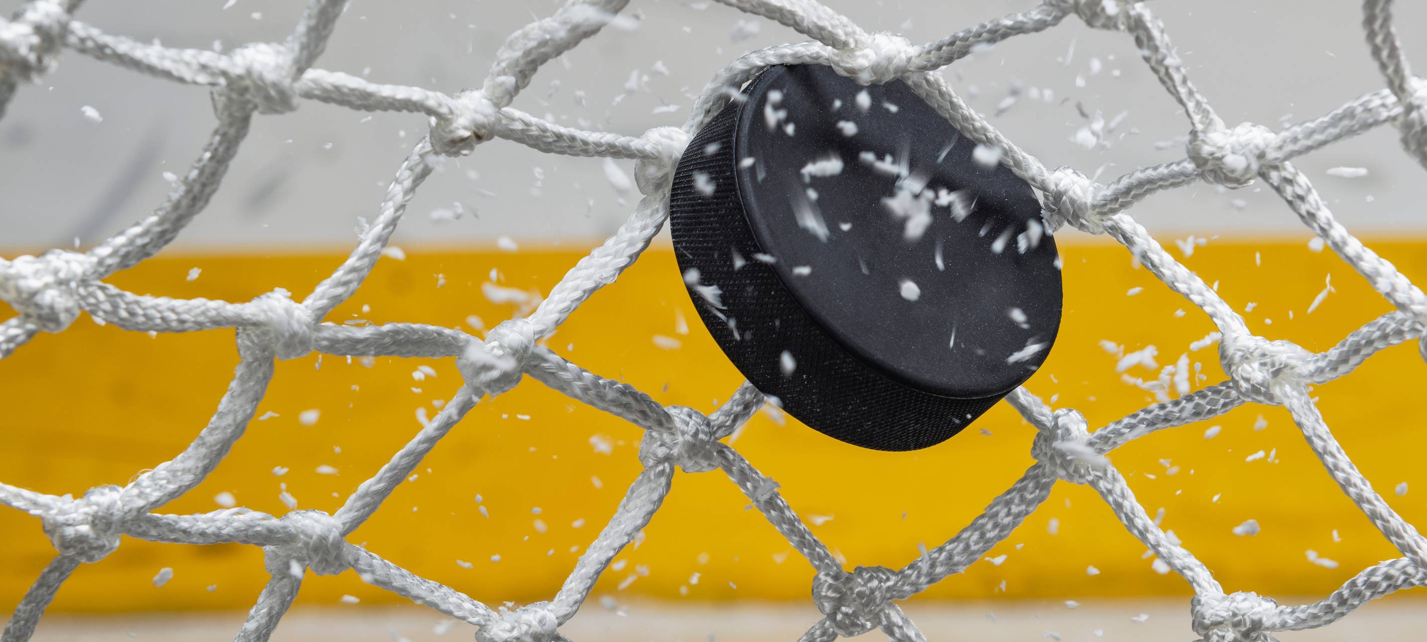 Ein Eishockey-Puck zappelt im Netz eines Eishockey-Tores.