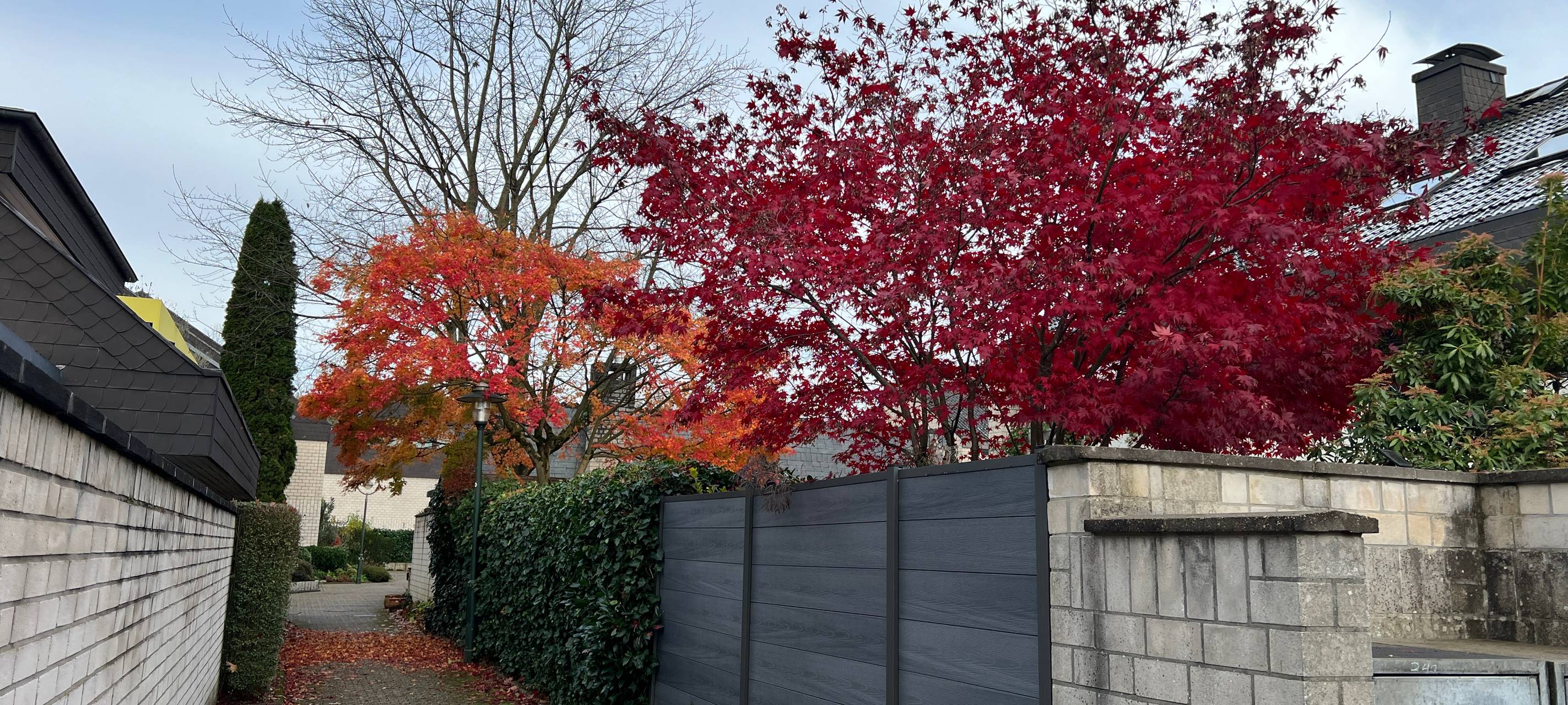 Weg durch ein Wohngebiet in Düsseldorf Hellerhof