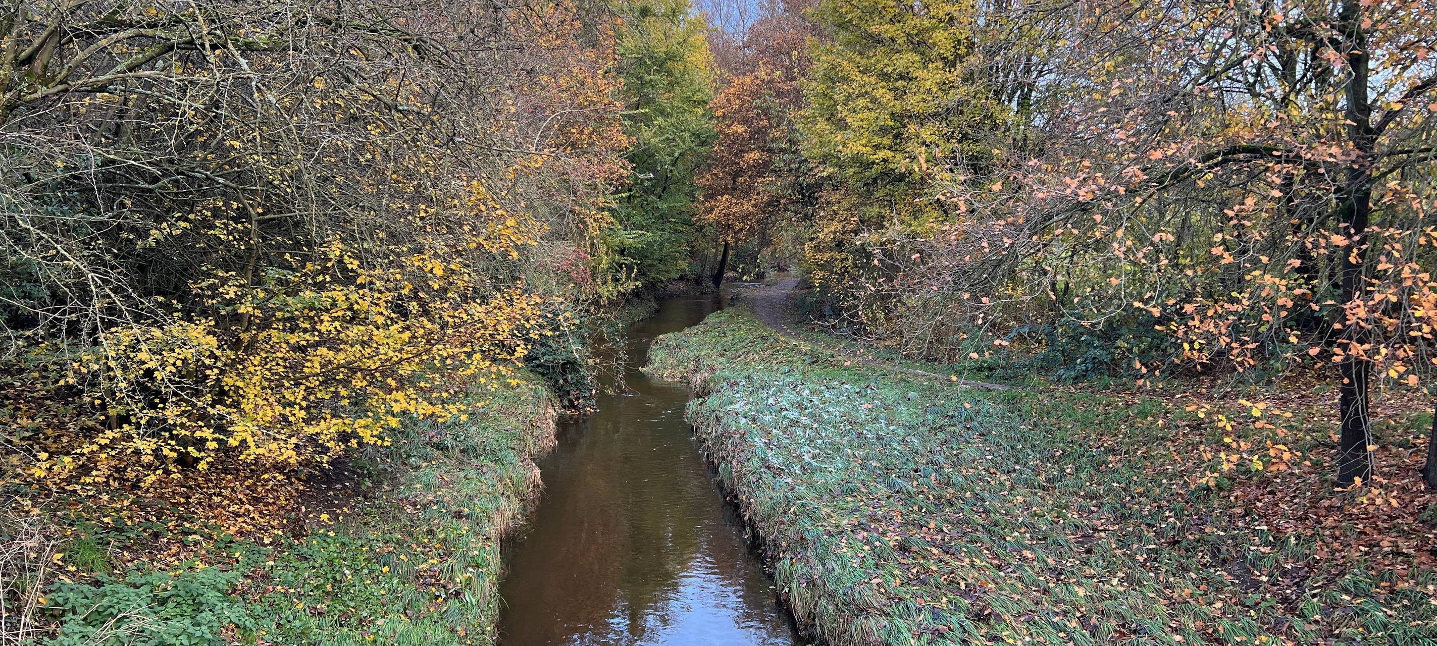 Blick auf einen kleinen Bach, der direkt durch Hellerhof fließt