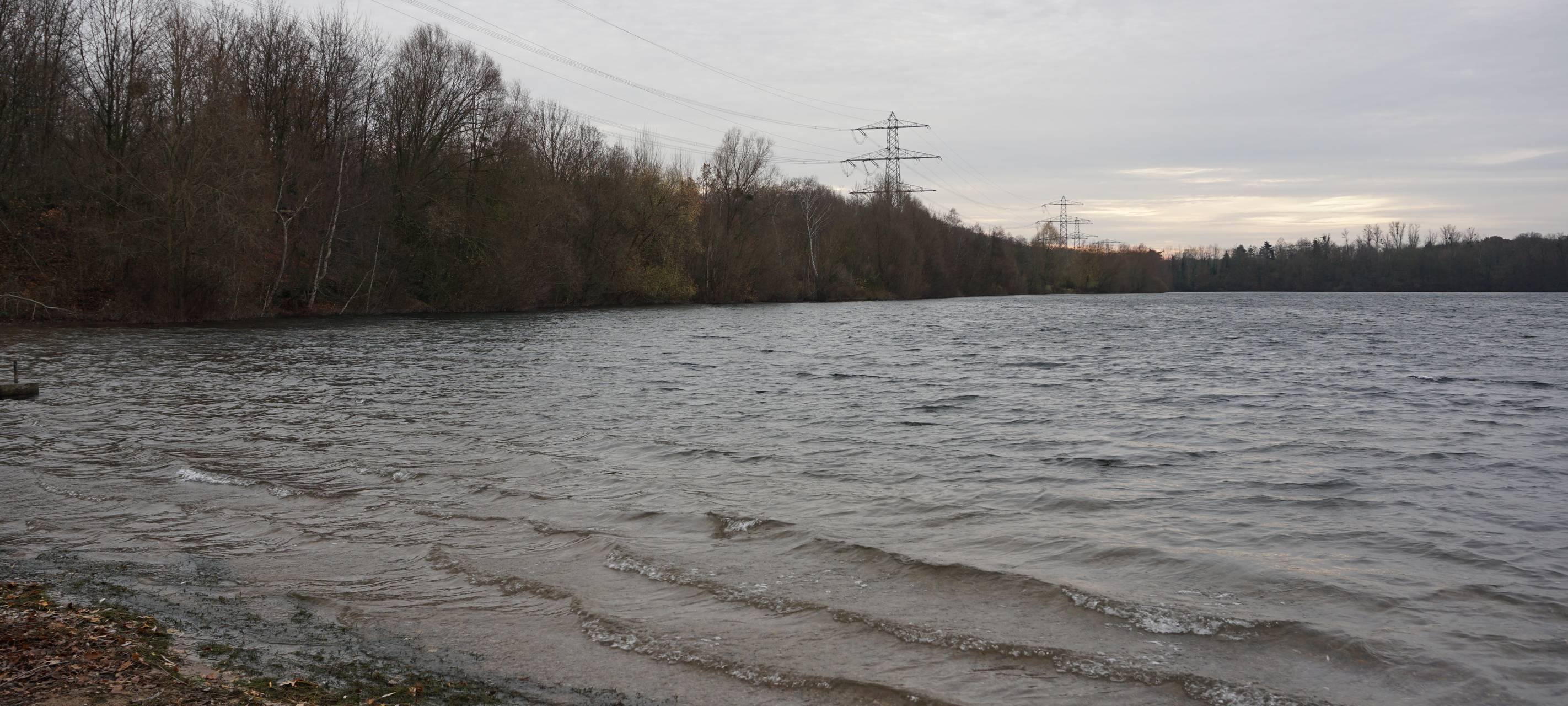 Blick auf den Angermunder See vom Ufer
