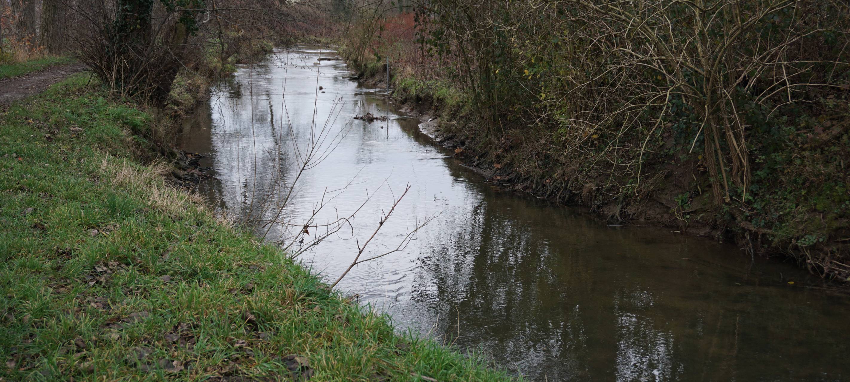 Blick auf einen Bach in Angermund