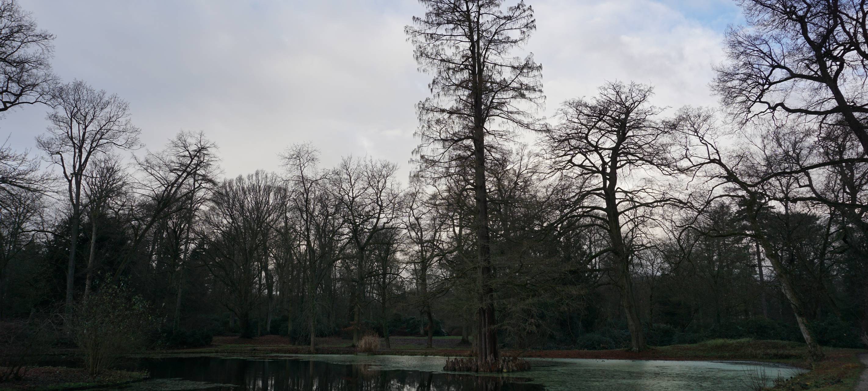 Impression aus dem Park des Schlosses Heltorf