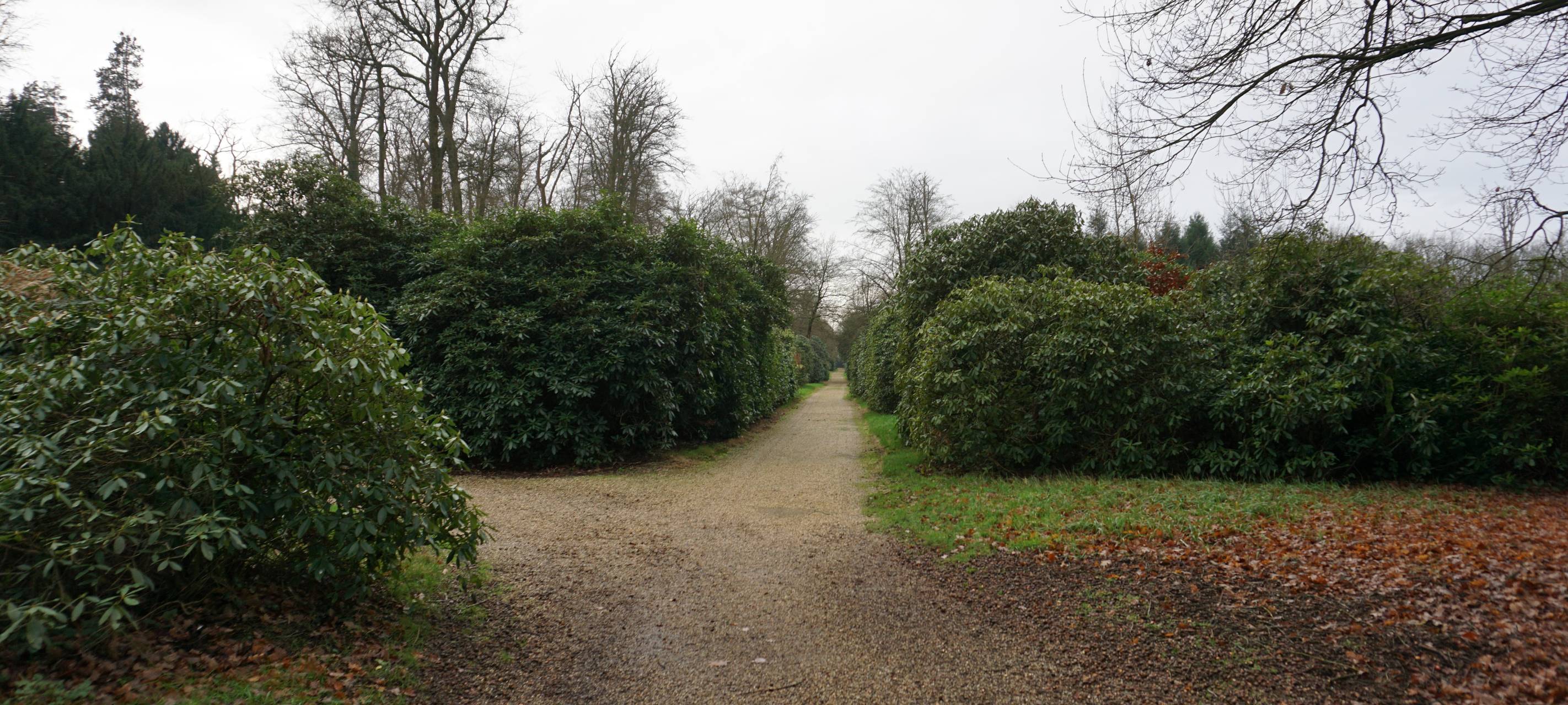Langer Weg im Schlosspark Heltorf in Angermund