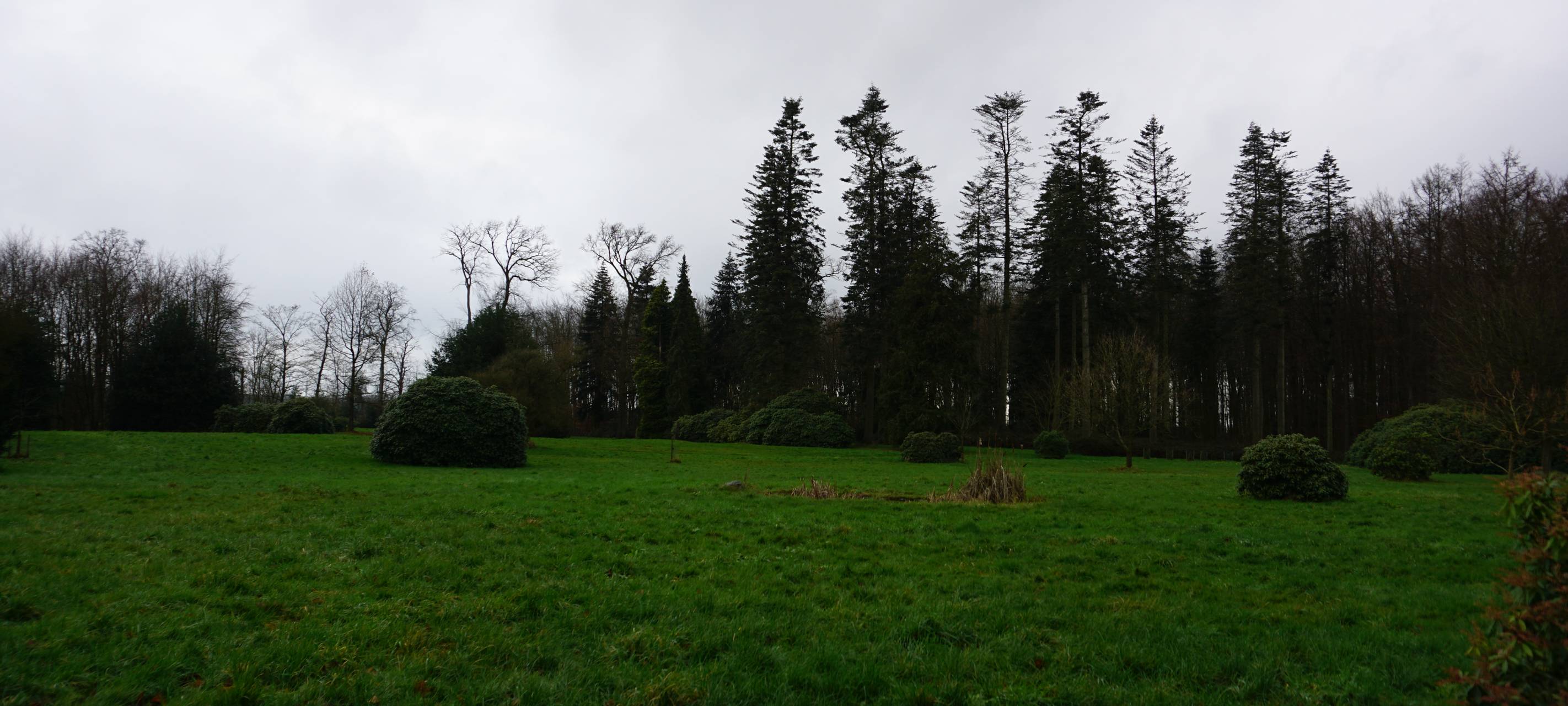 Wiese im Schlosspark Heltorf in Angermund