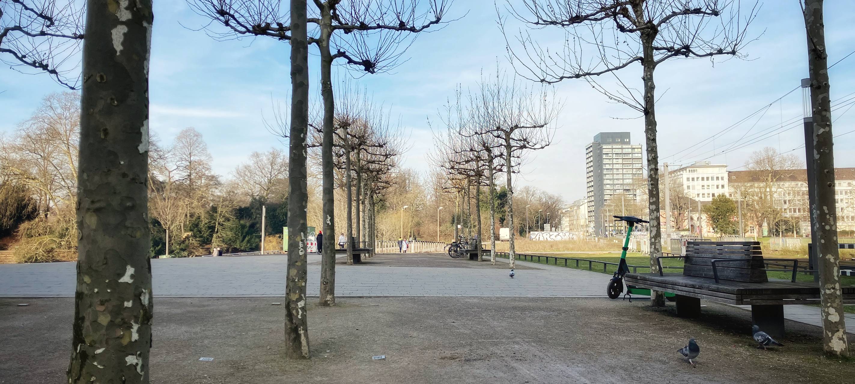 Fußweg am Hofgarten mit einer Reihe von Bäumen und einzelnen Bänken und Rollern. Im Hintergrund sind Häuser zu sehen.