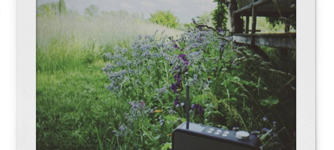 Ein Radio vor einer Blumenwiese