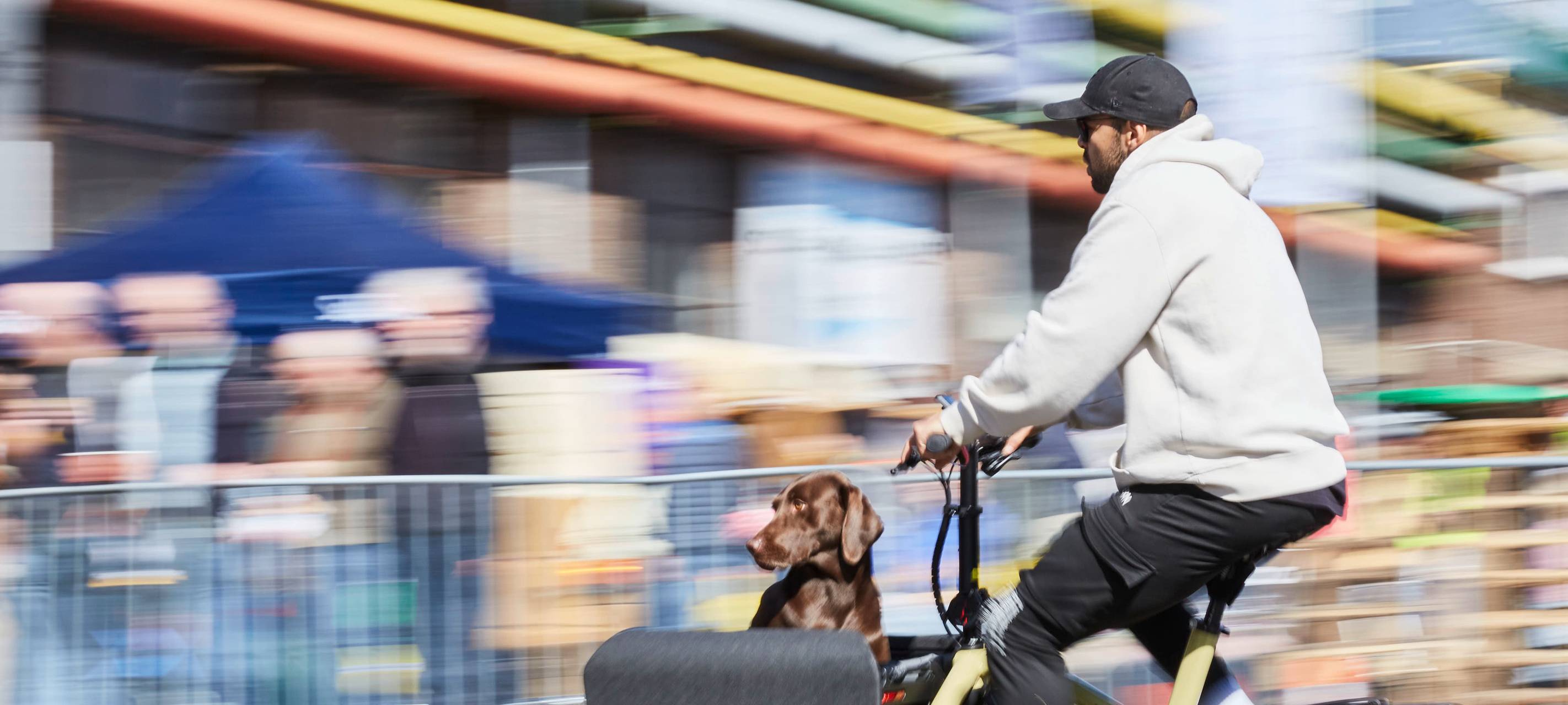 Eindrücke von der Messe Cyclingworld. Ein Hund wird in einem Lastenrad transportiert.