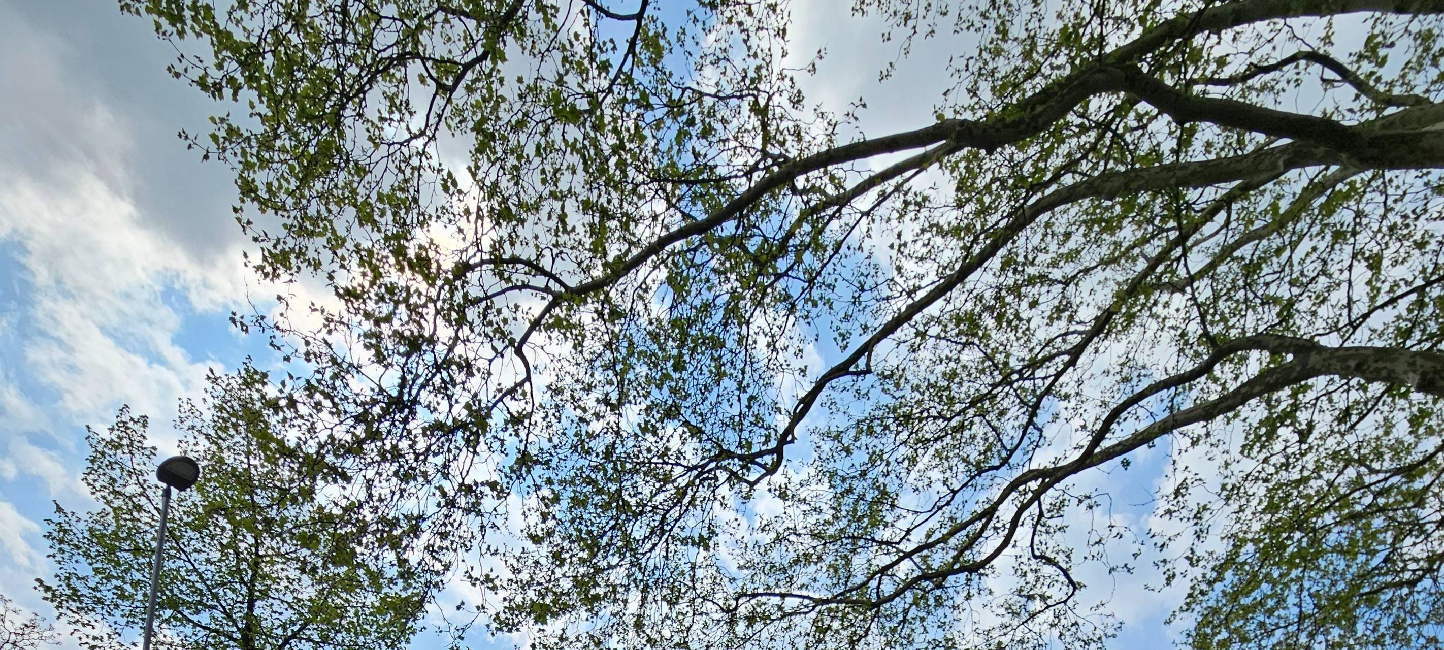 Kreisel auf der Gerresheimer Landstraße in Unterbach