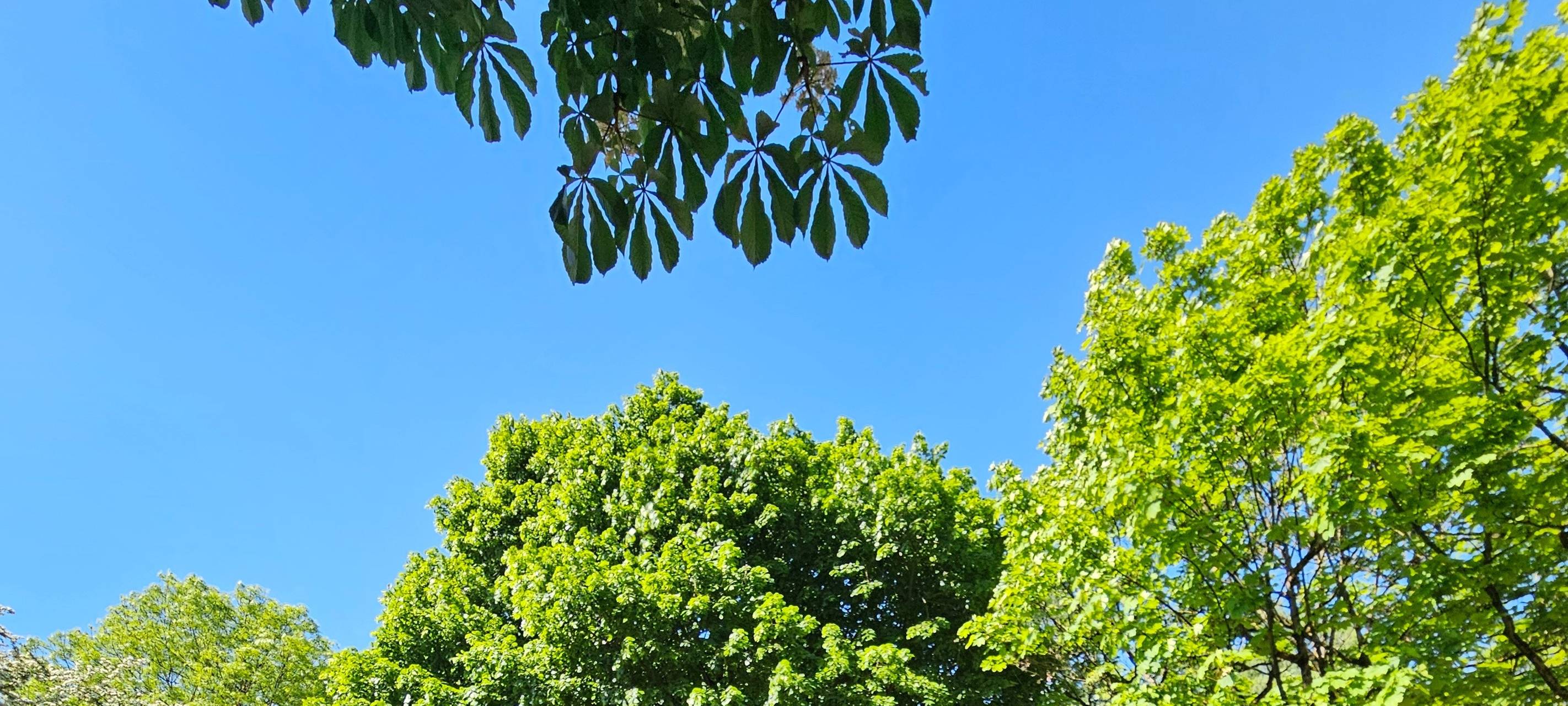 Schild: Herzlich Willkommen am Unterbacher See