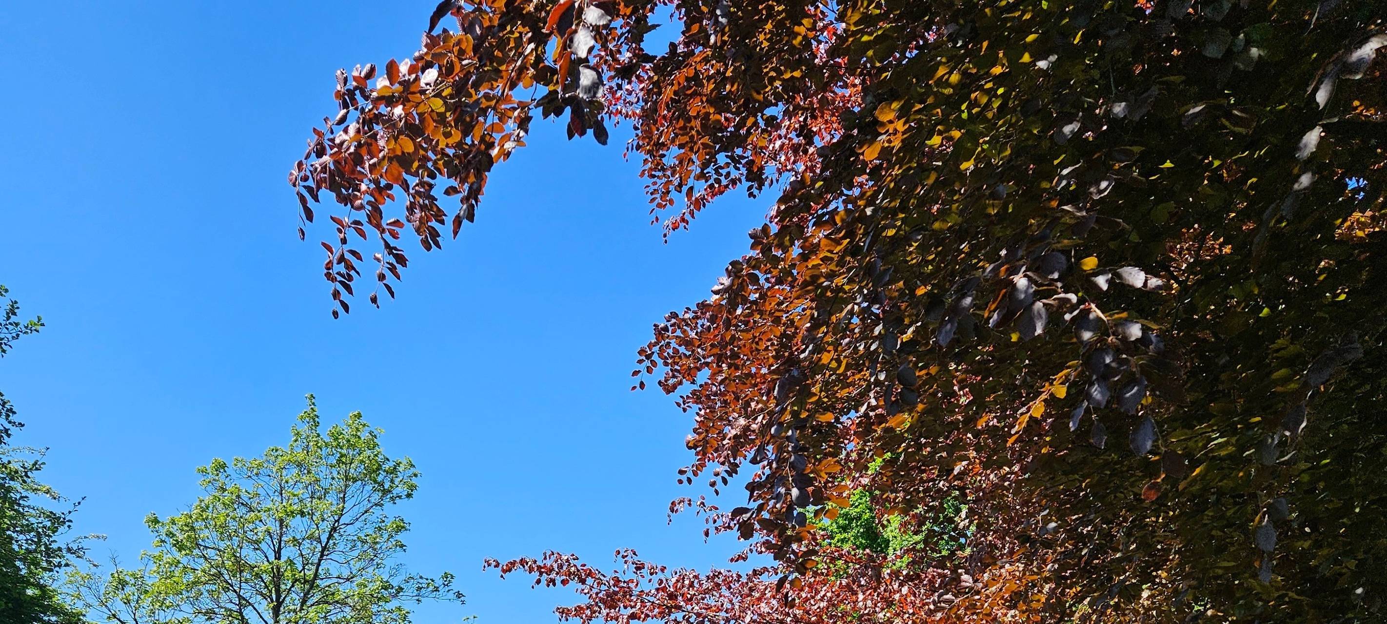 Weg am Unterbacher See