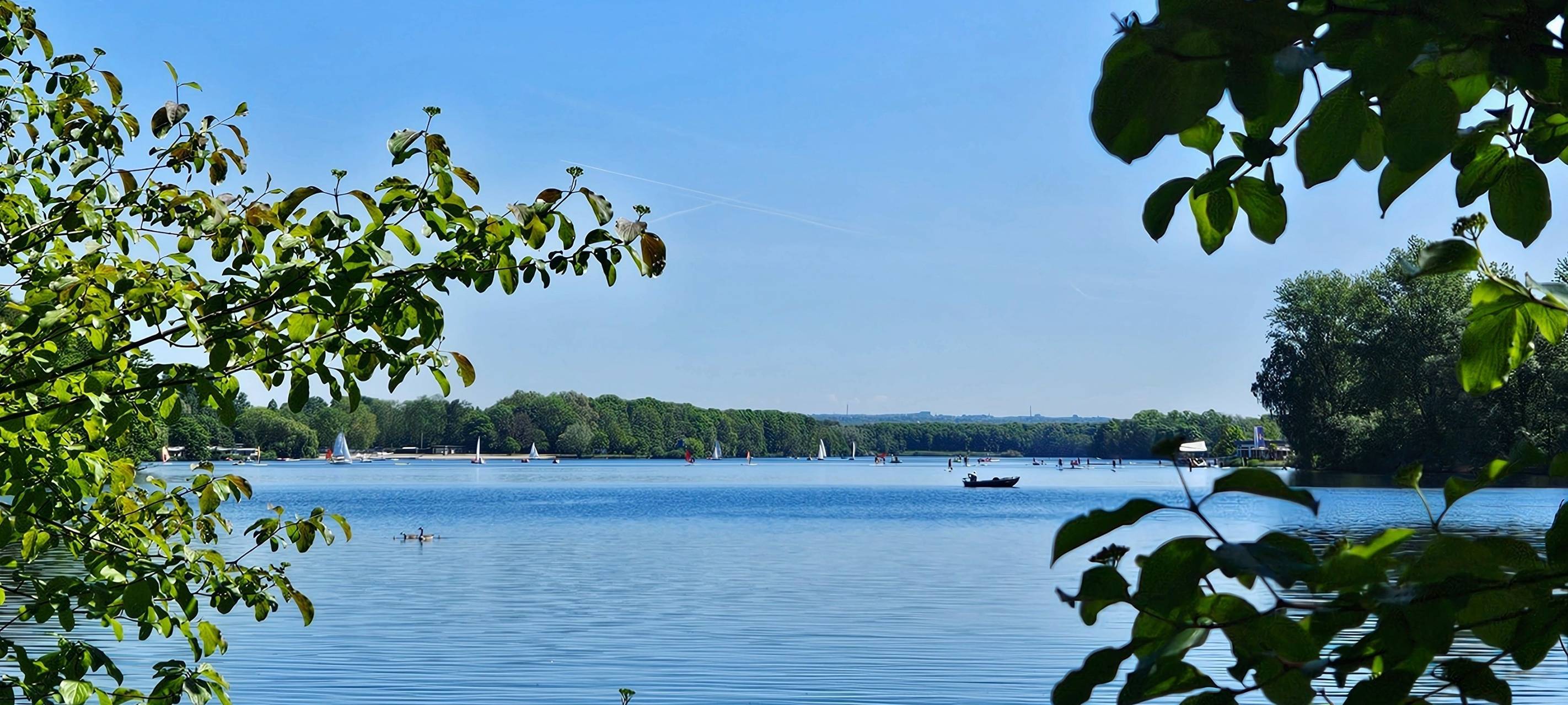 Unterbacher See eingerahmt von Bäumen