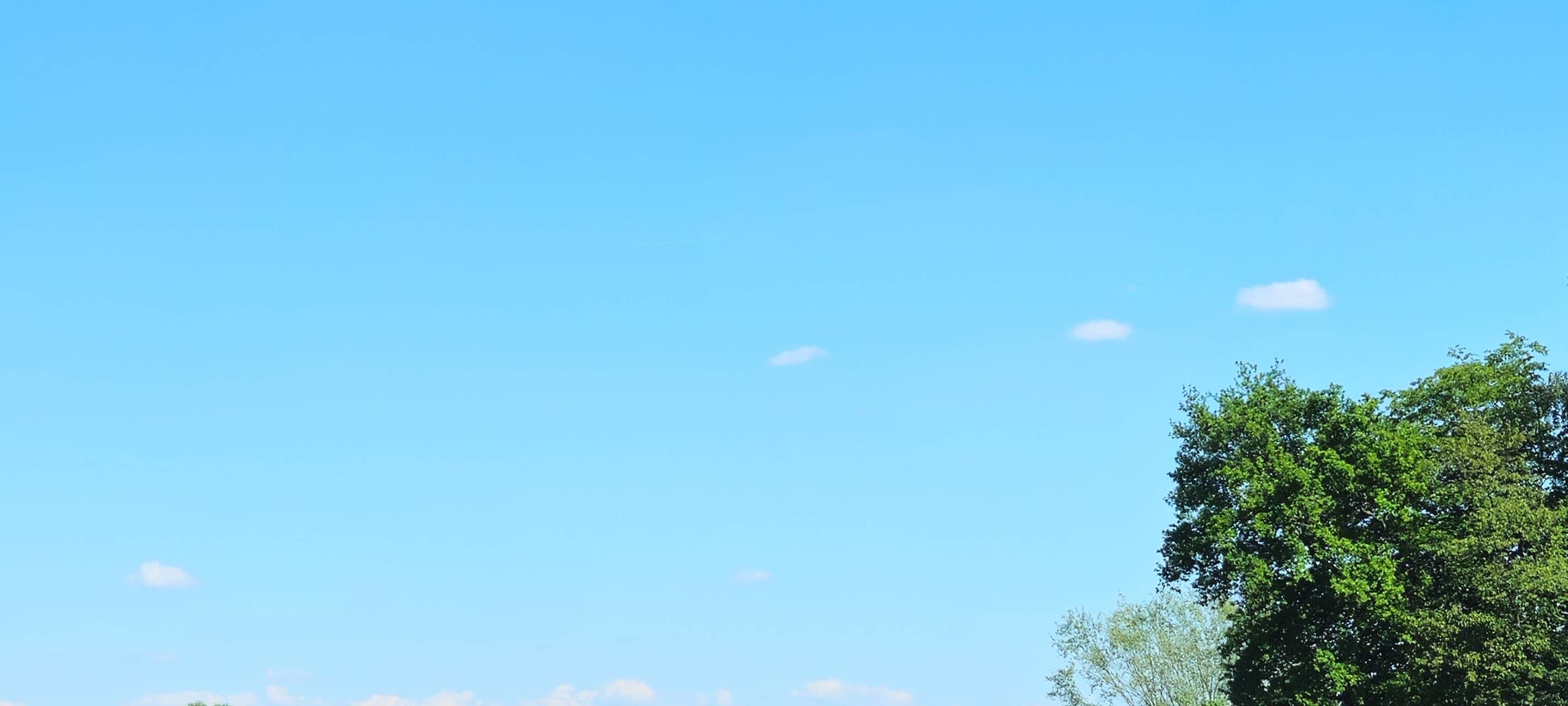 Unterbacher See mit Bäumen, Wasser und Seegelboten.