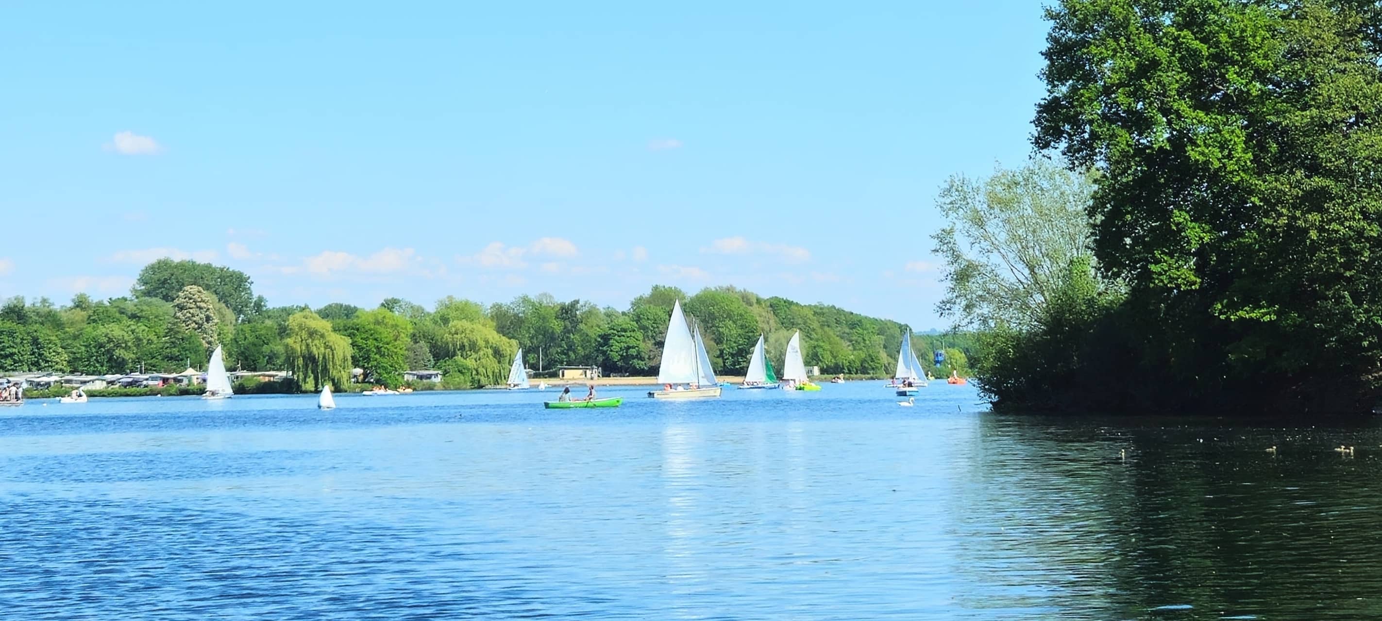 Unterbacher See mit Bäumen, Wasser und Seegelboten.