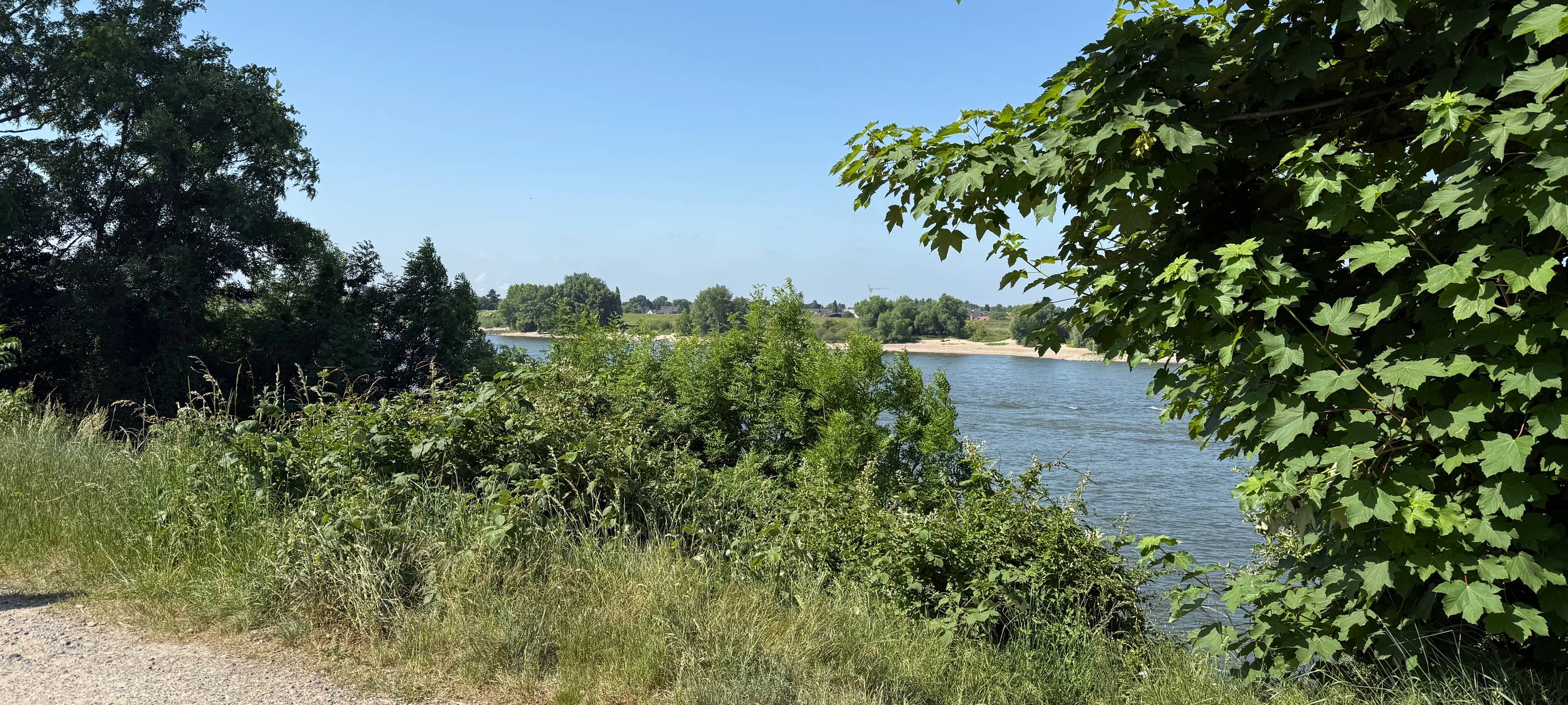 Schotterweg am Rhein bei Himmelgeist