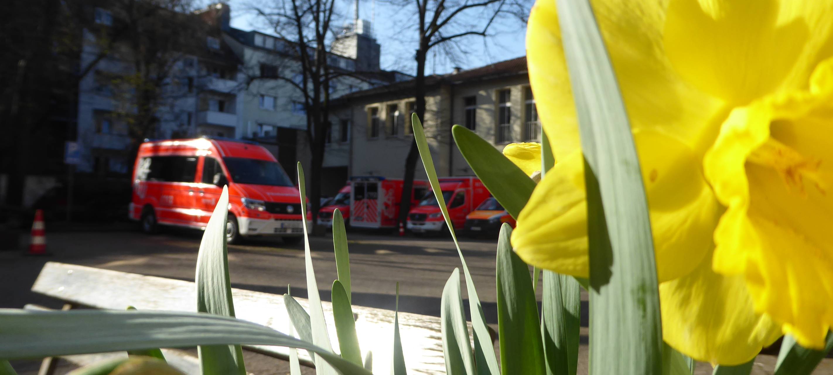 Im Vordergrund Blumen, im Hintergrund Einsatzfahrzeuge der Feuerwehr