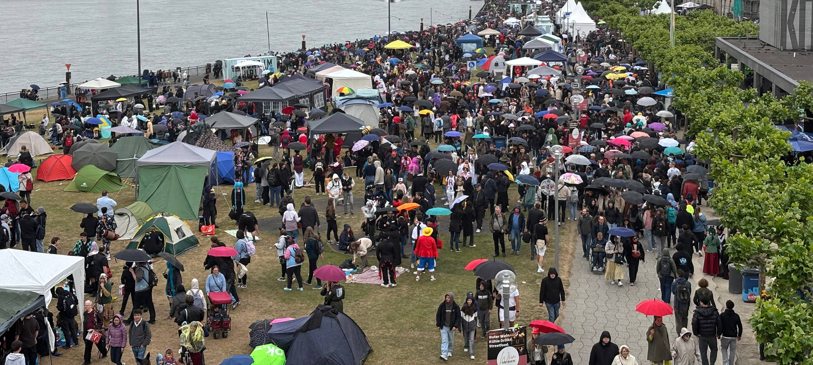 Japan-Tag: Eine trotz des Regens gut besuchte Rheinuferpromenade.