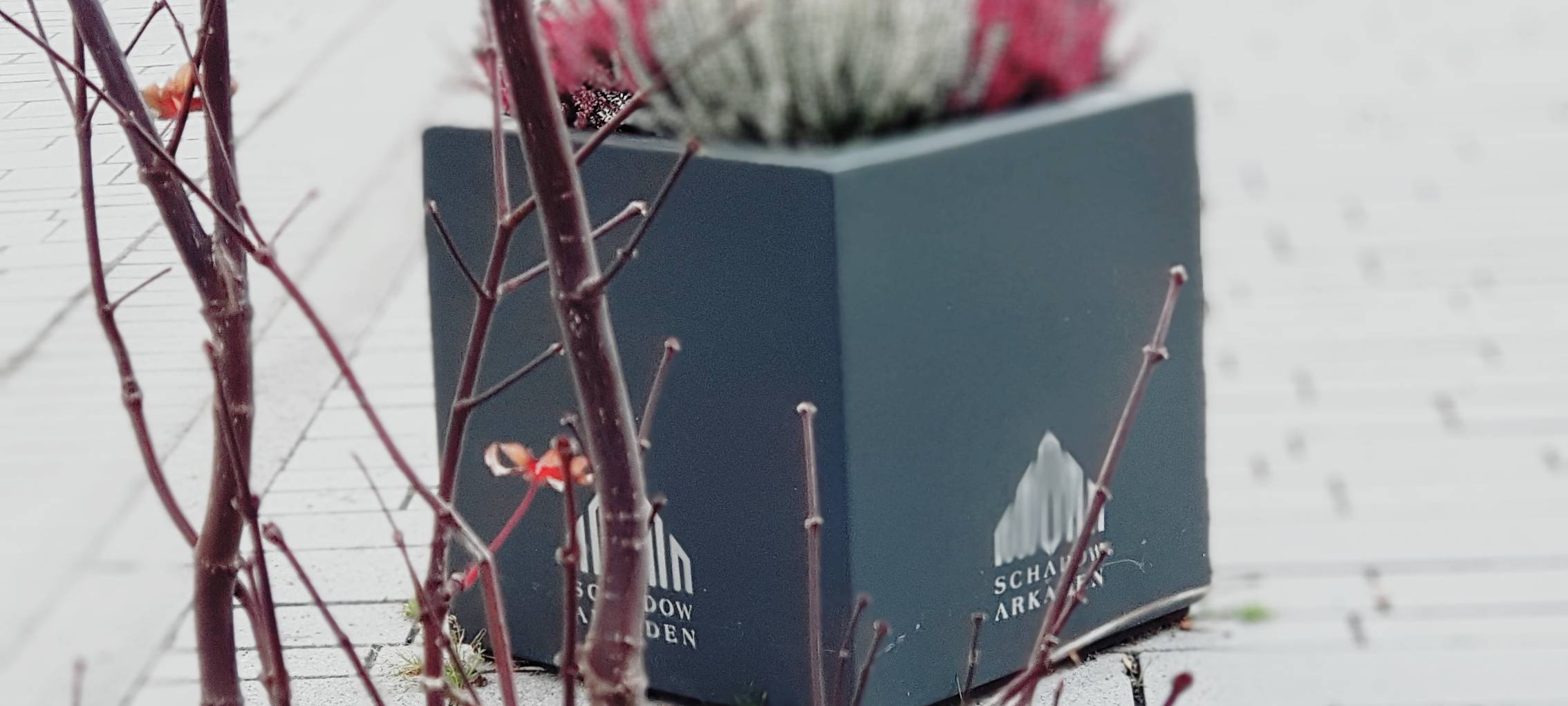 Vögel füttern im Winter - Stadt gibt Tipps