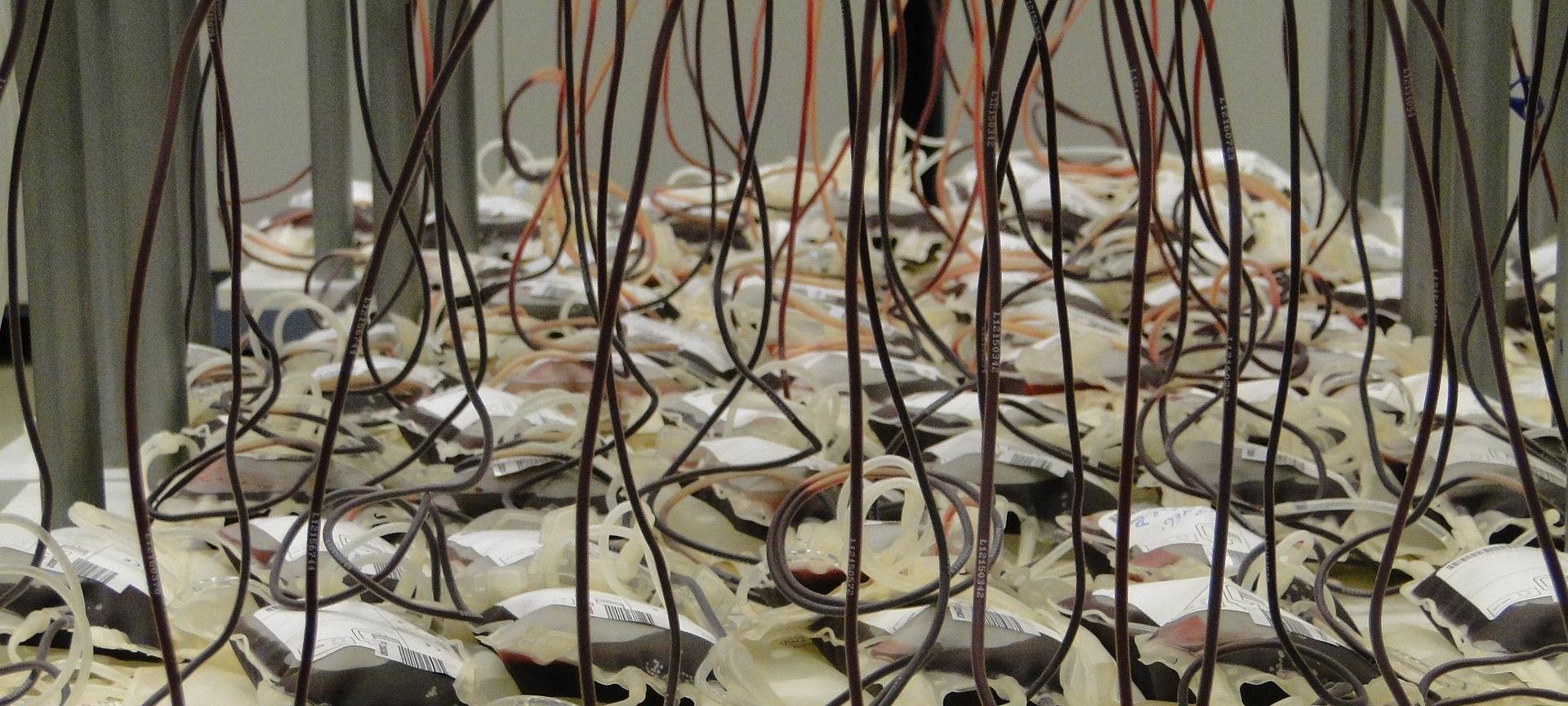 Faktencheck: Blutspendeverbot nach Corona-Impfung?