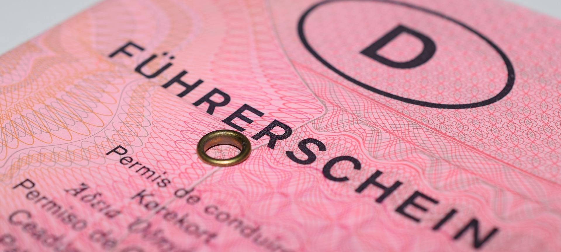 Ein pinker Papier-Führerschein.