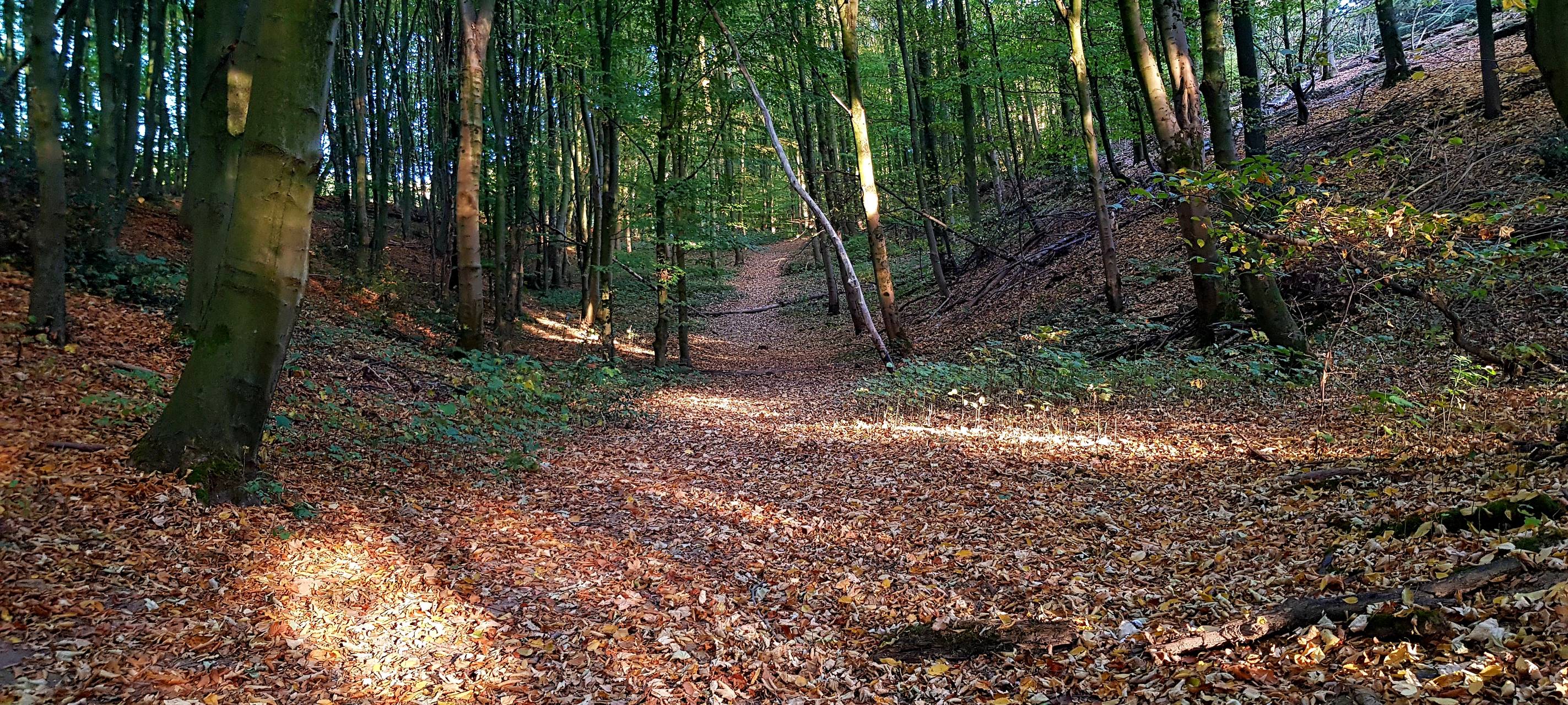 Feuerwehr warnt vor Waldbrandgefahr!