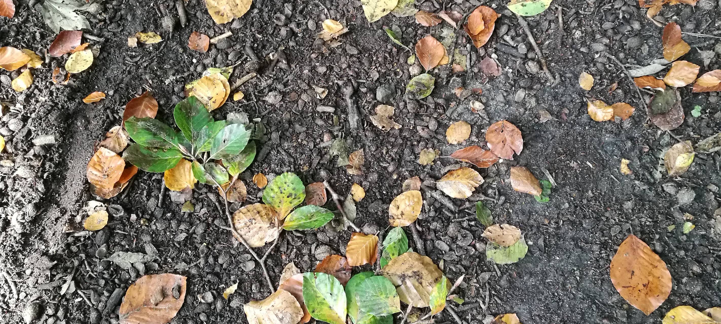 Winter-Tipps für Düsseldorfer Hausbesitzer