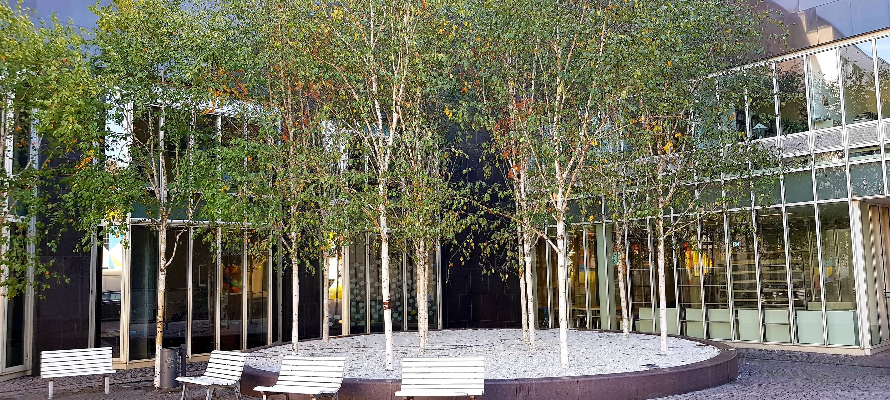 Neue Ausstellung in Düsseldorf