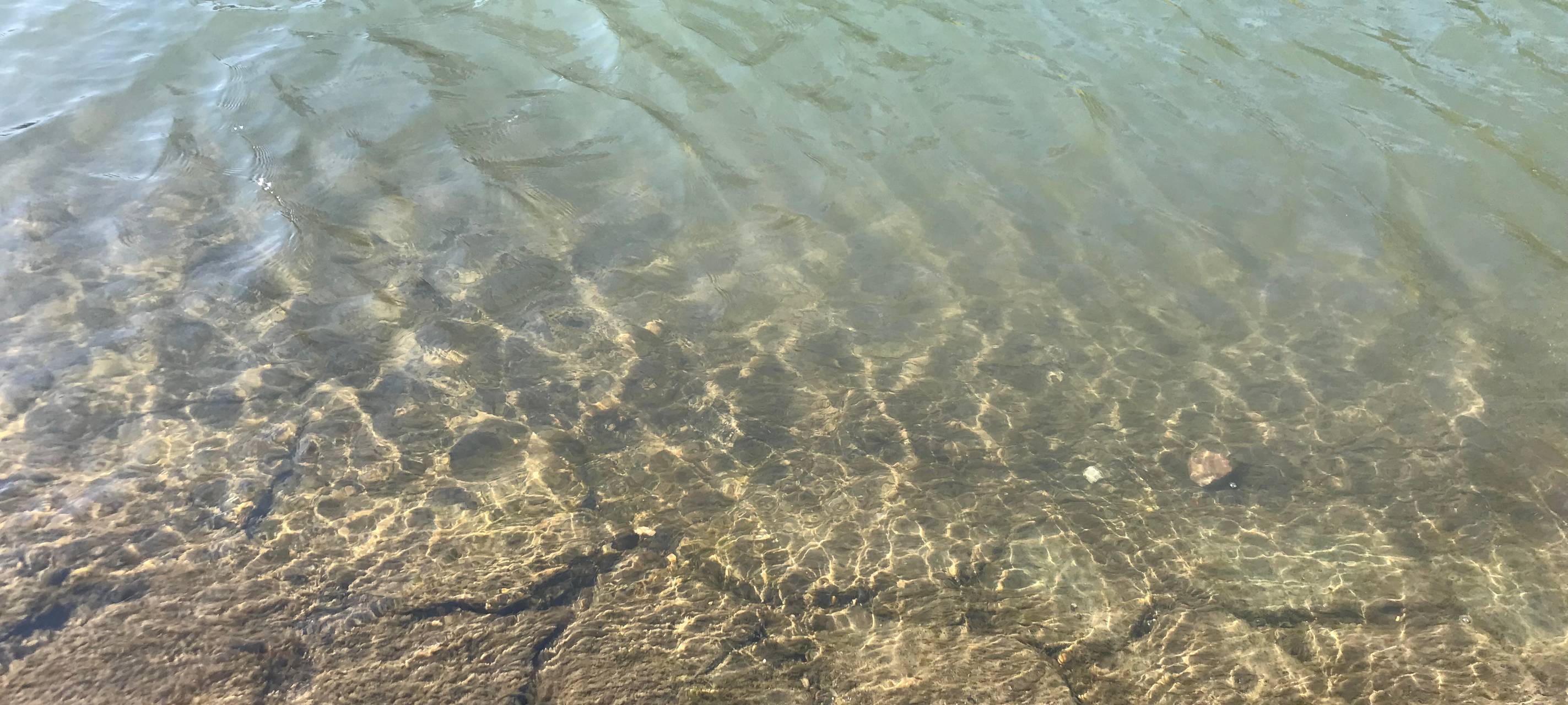 Pläne für Deichsanierung in Himmelgeist werden offen gelegt