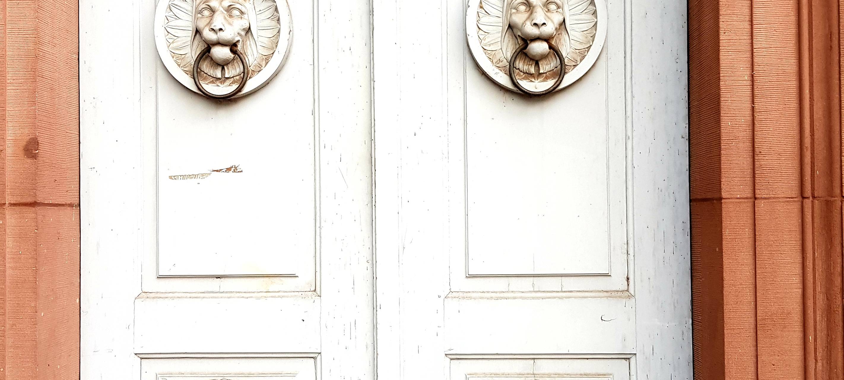 Düsseldorf: Fragen an der Haustür - Zensus startet