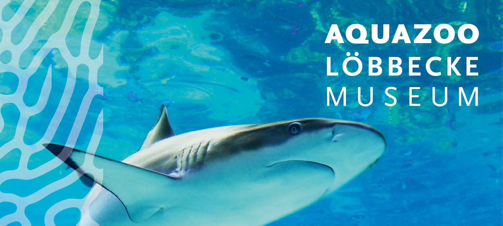 ab 19. Mai 2020: Aquazoo öffnet wieder!