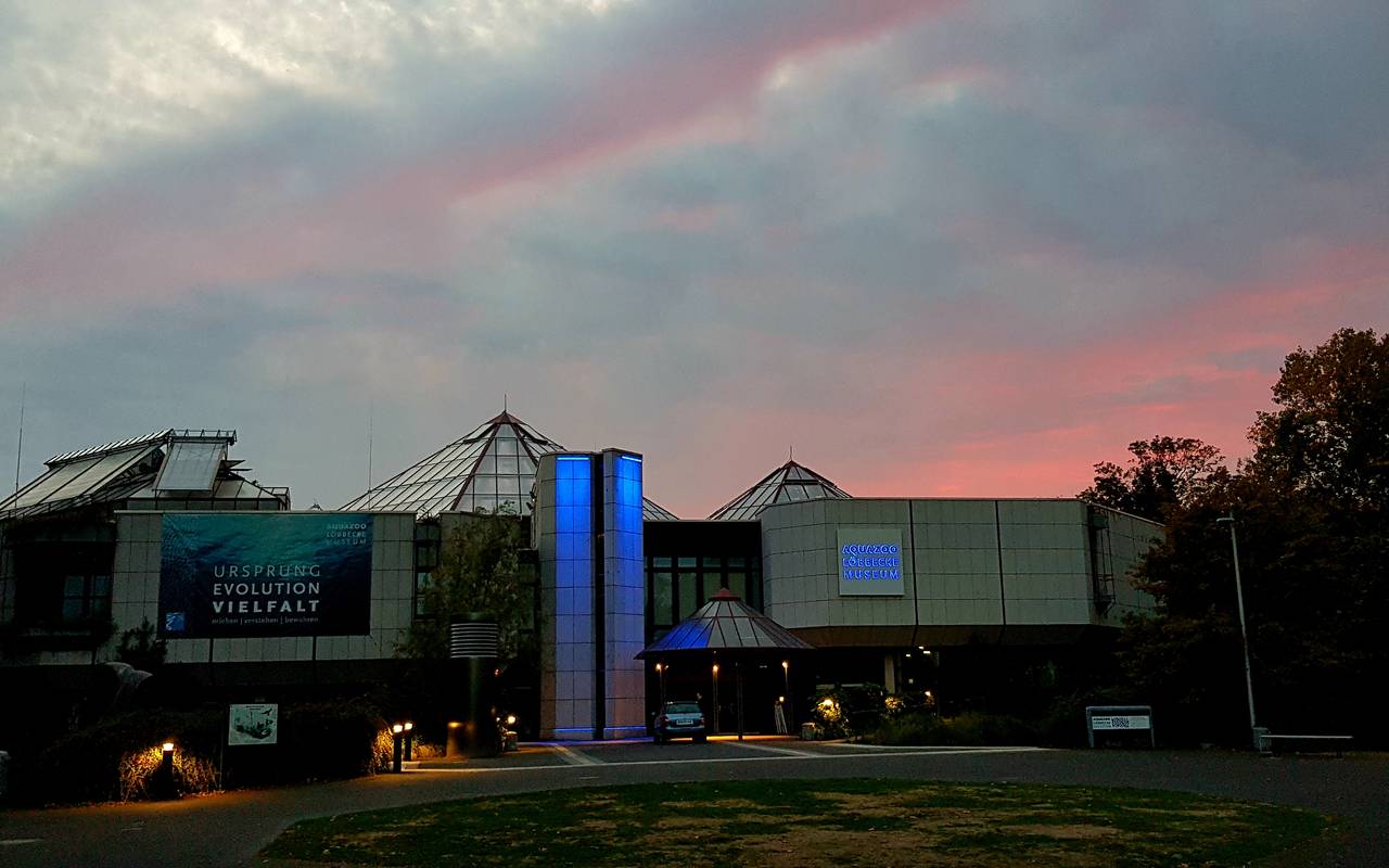 Aquazoo Offnet Wieder Antenne Dusseldorf Aquazoo Offnet Wieder Antenne Dusseldorf