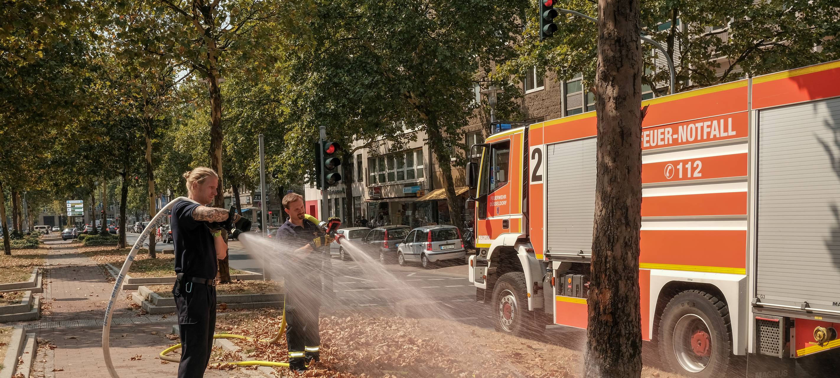Wetter in Düsseldorf: Hitze macht Natur zu schaffen