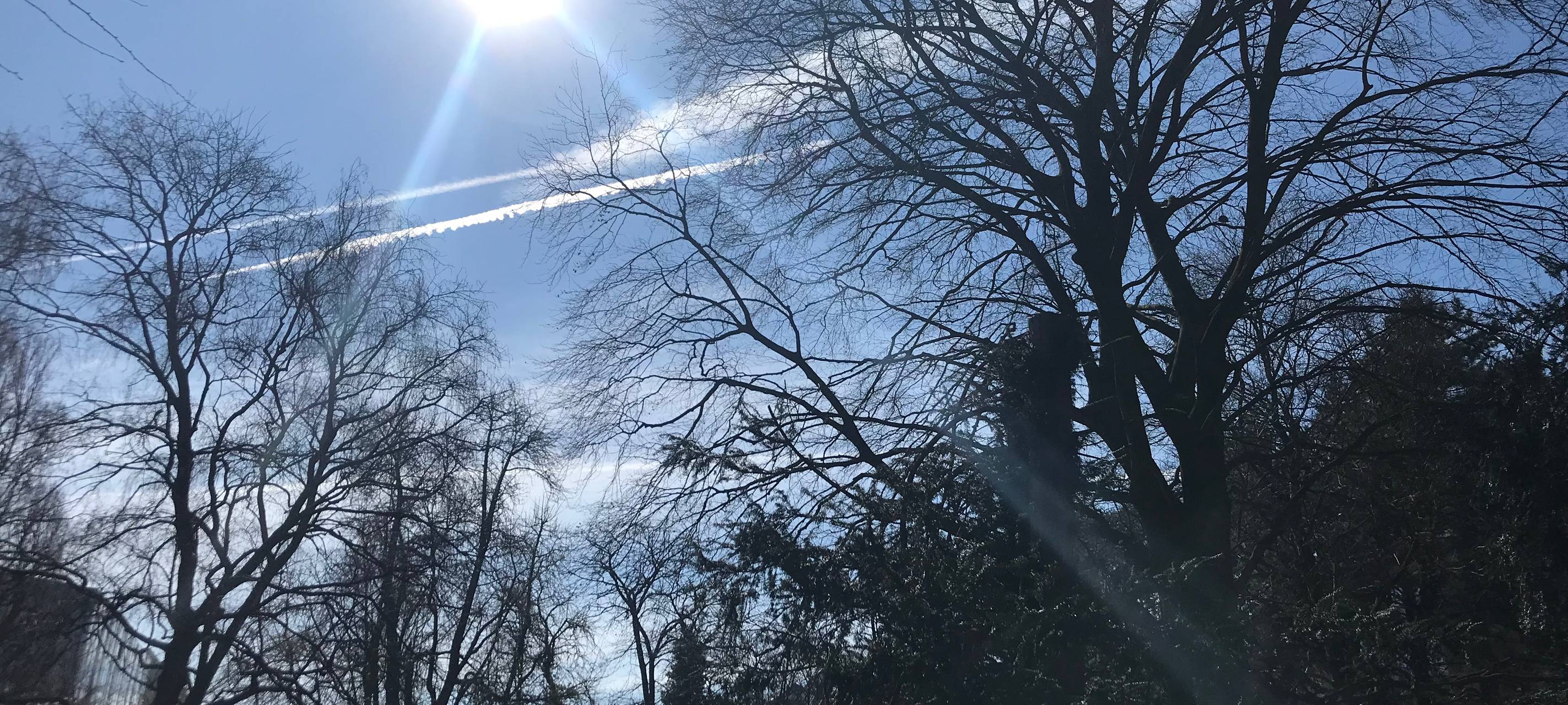 Hitze: Rekordtemperaturen in Düsseldorf