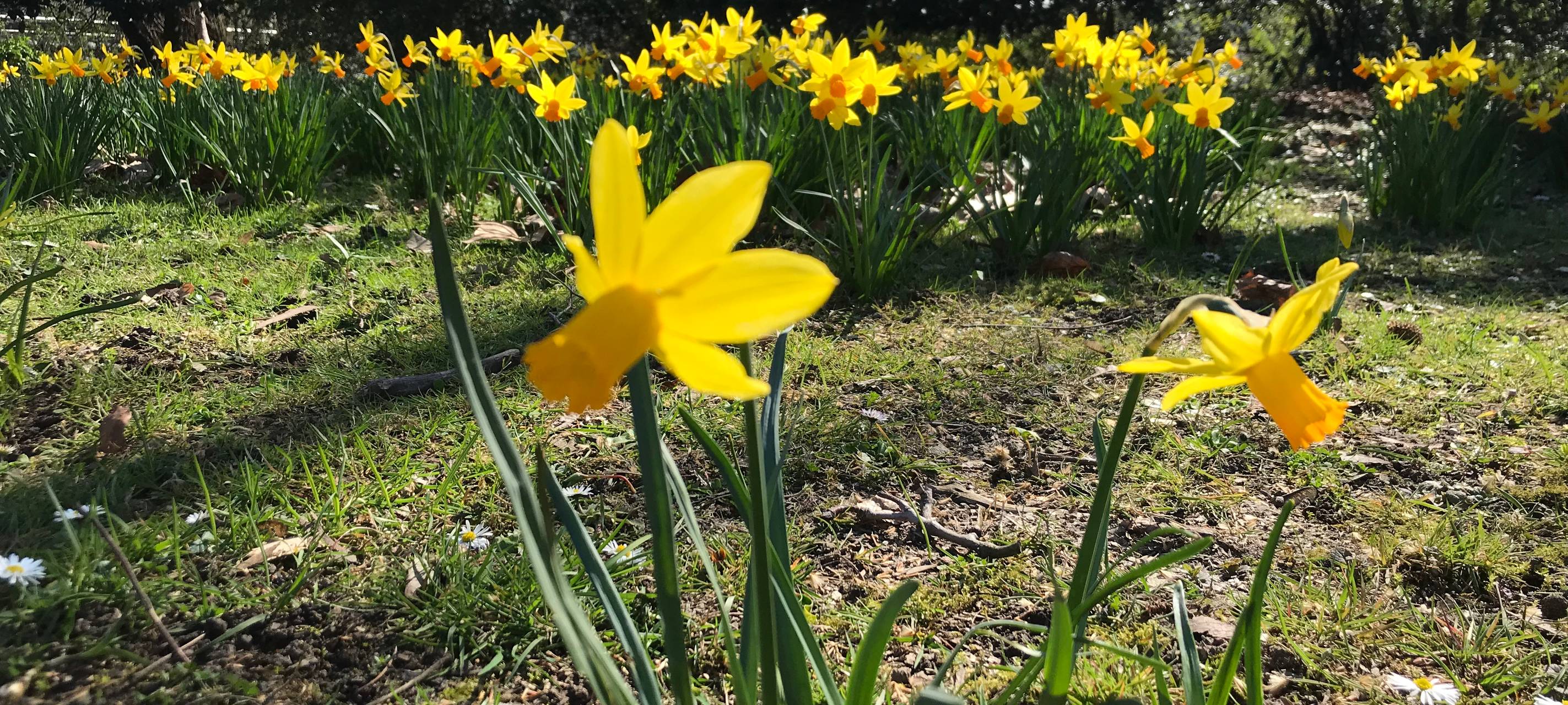 Frühling in Düsseldorf: NABU gibt Tipps