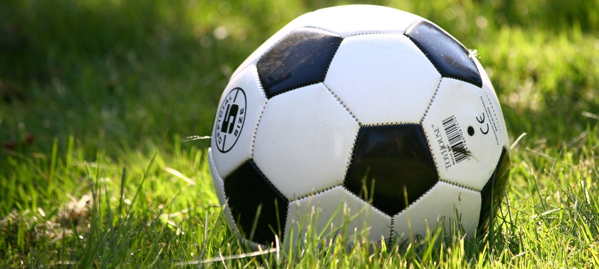 Ein schwarz-weißer Fußball auf grünem Rasen.