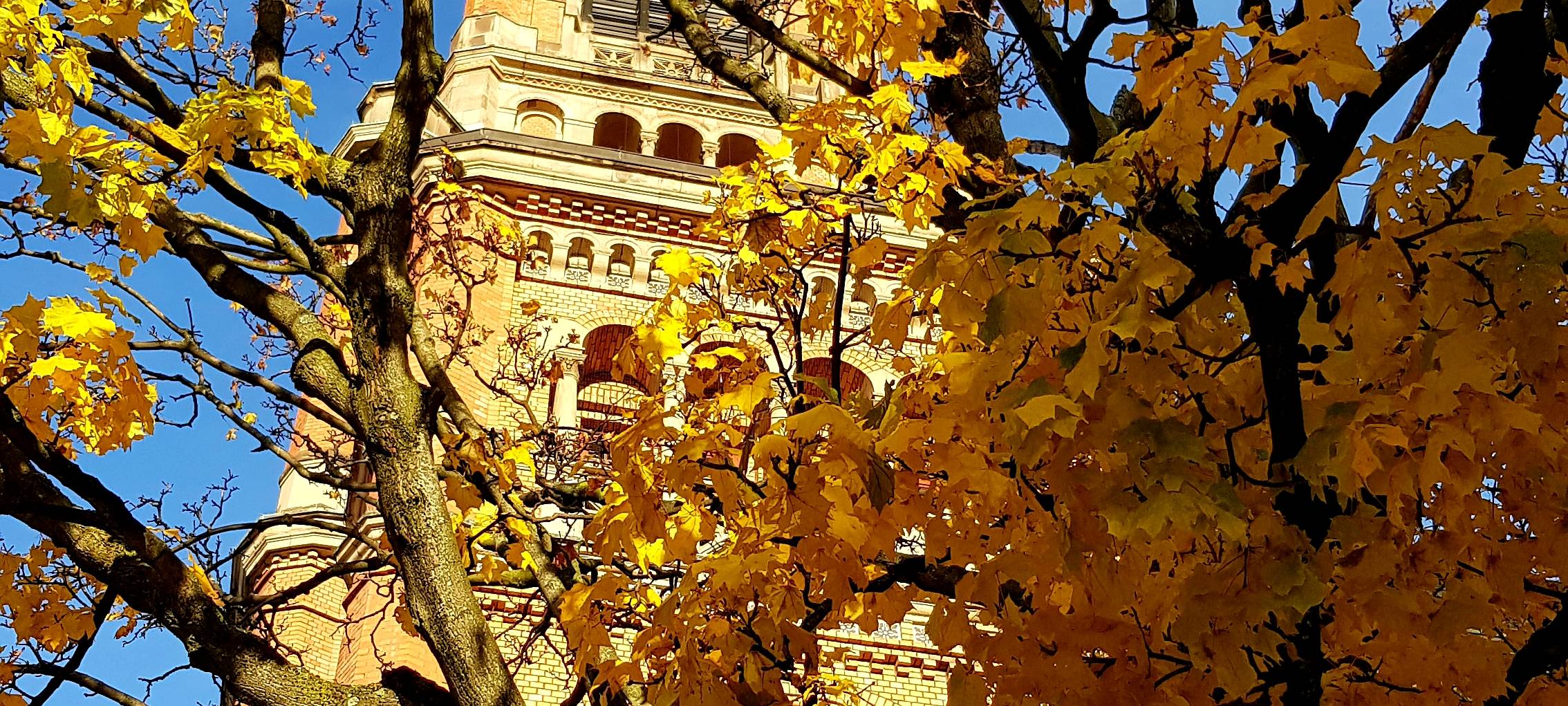 Die Johanneskirche in der Innenstadt im herbtlichen Licht. Herbstbäume runden das Bild ab.