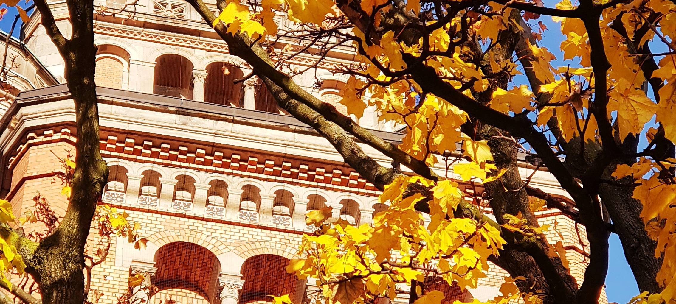 Düsseldorfer ADAC rät: Auto fit für den Herbst machen