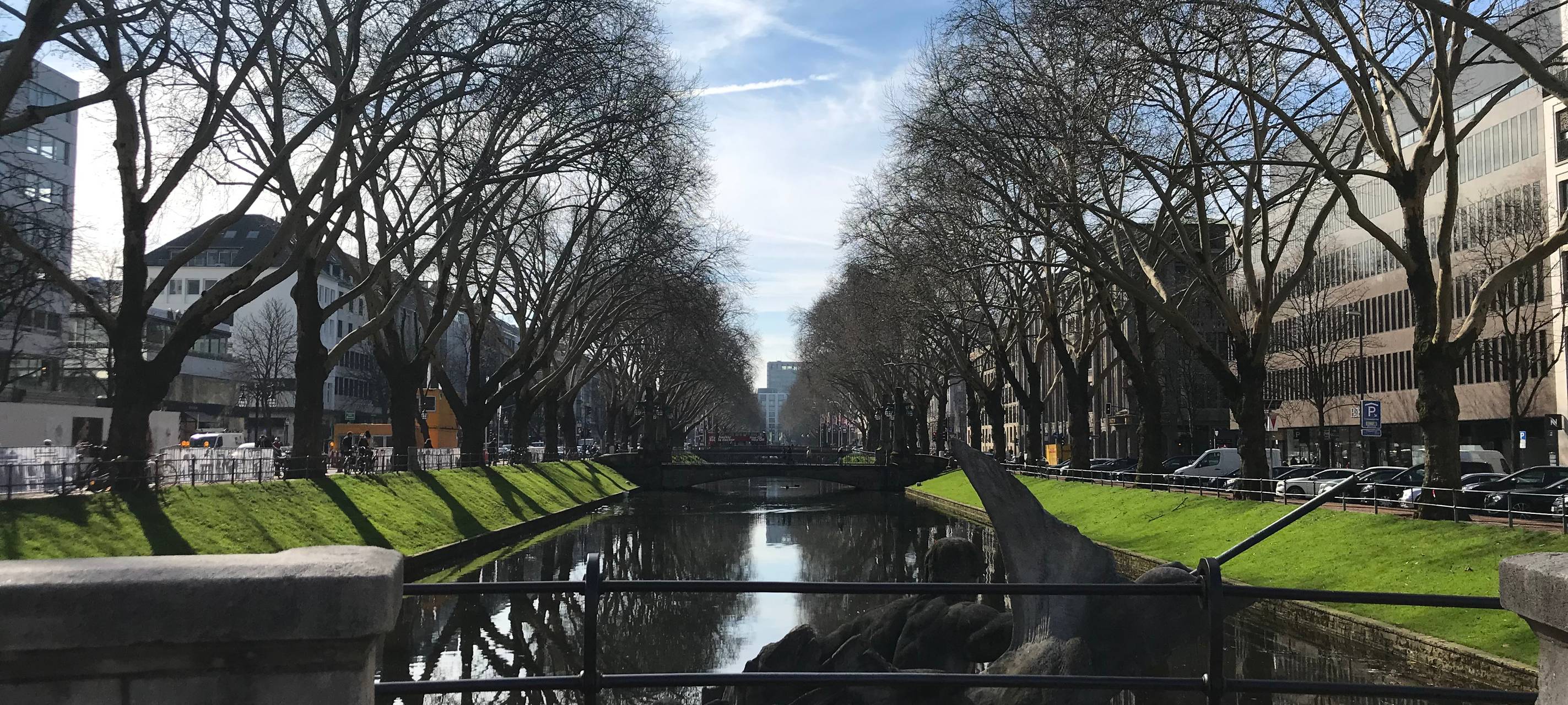 Linke will Luisen-Gymnasium vor Verkauf retten