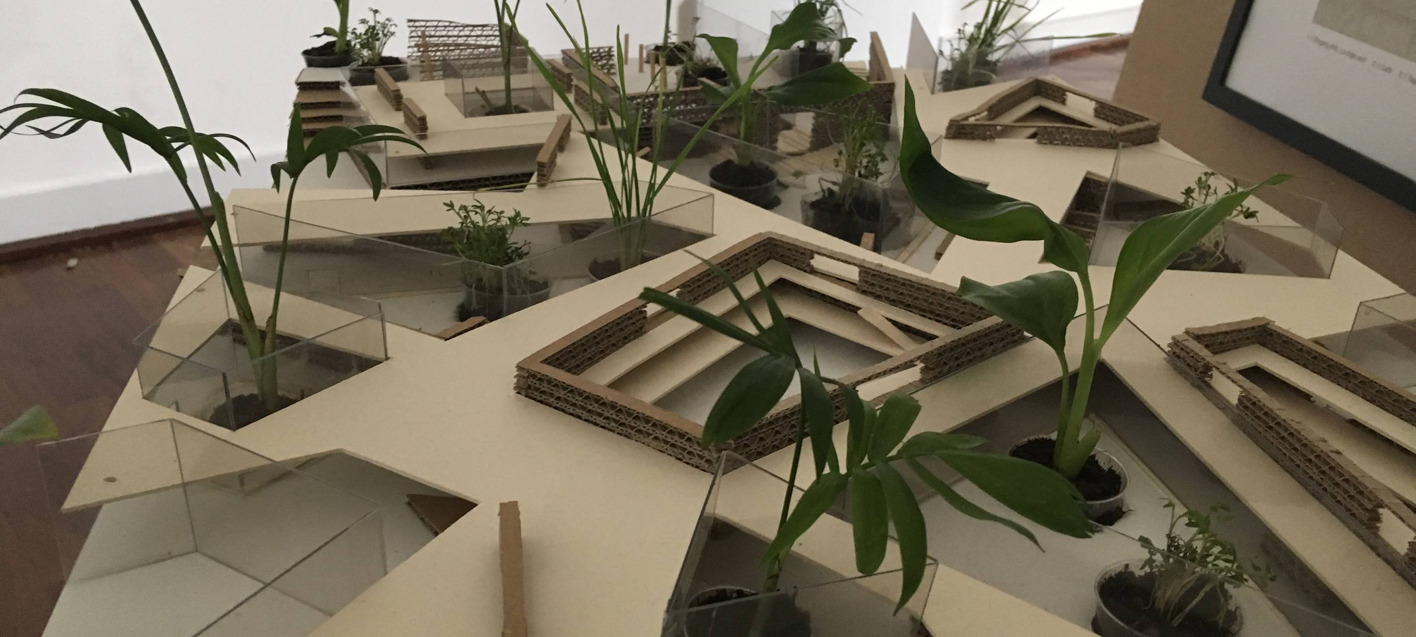 Studierende stellen in der Kunstakademie aus