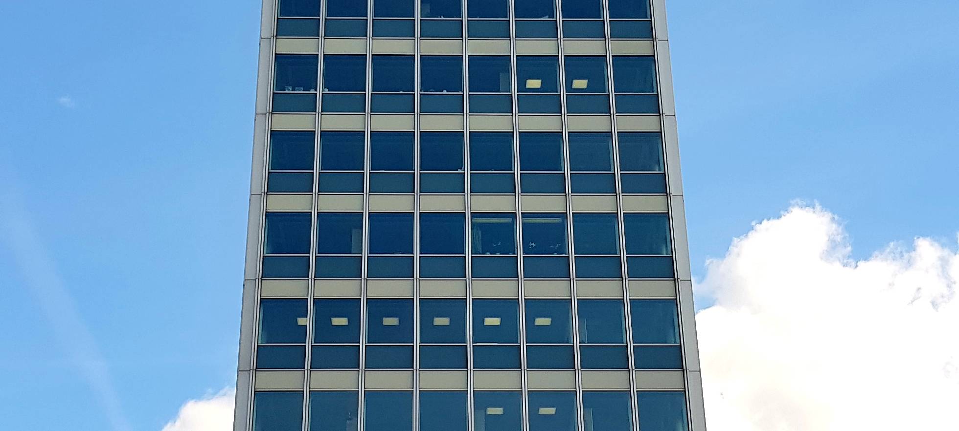 Düsseldorf: Lichterbaum am Wirtschaftsministerium