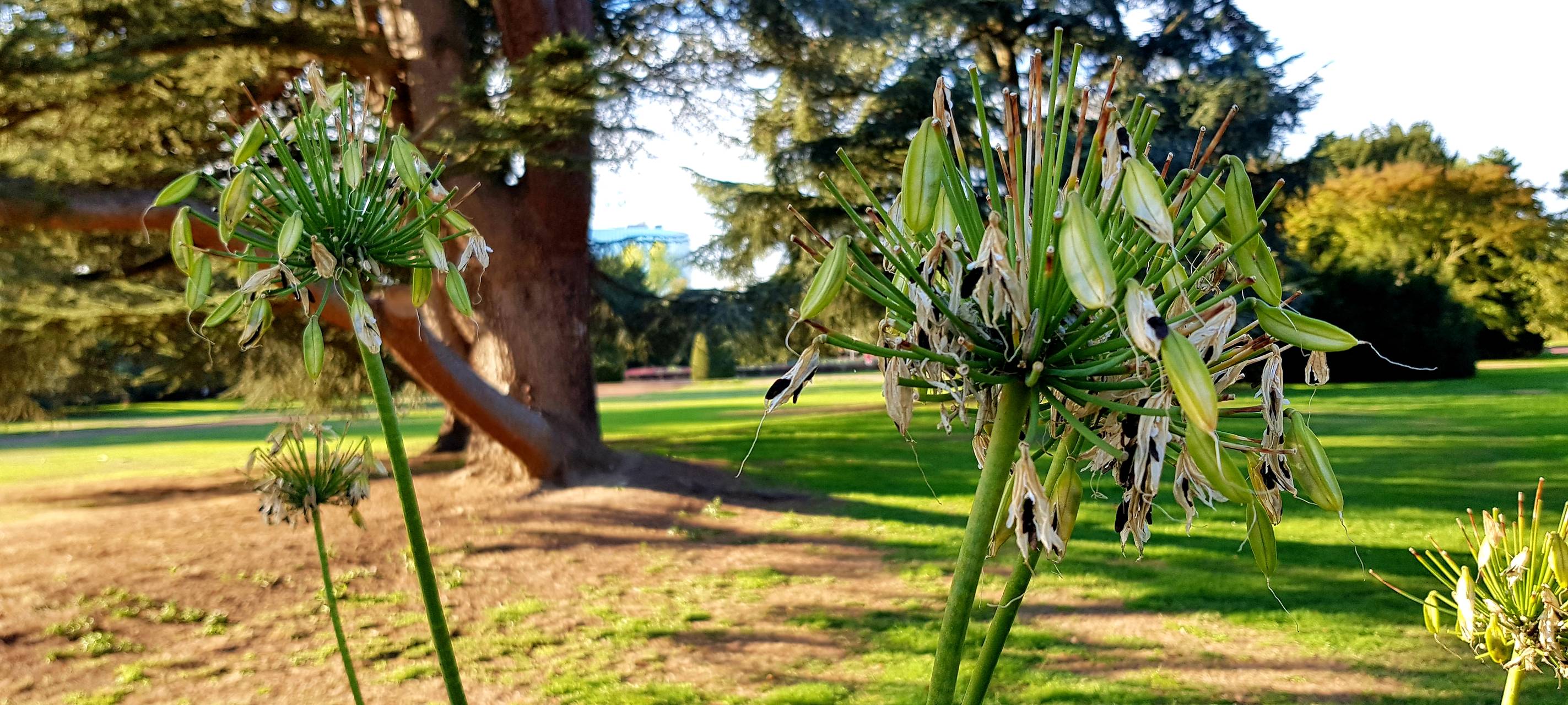 Evolutionsweg im Nordpark