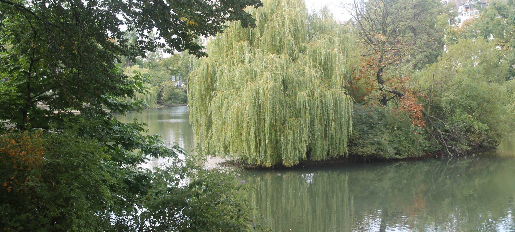 Trotz Frühlingswetter in Düsseldorf Abstände einhalten